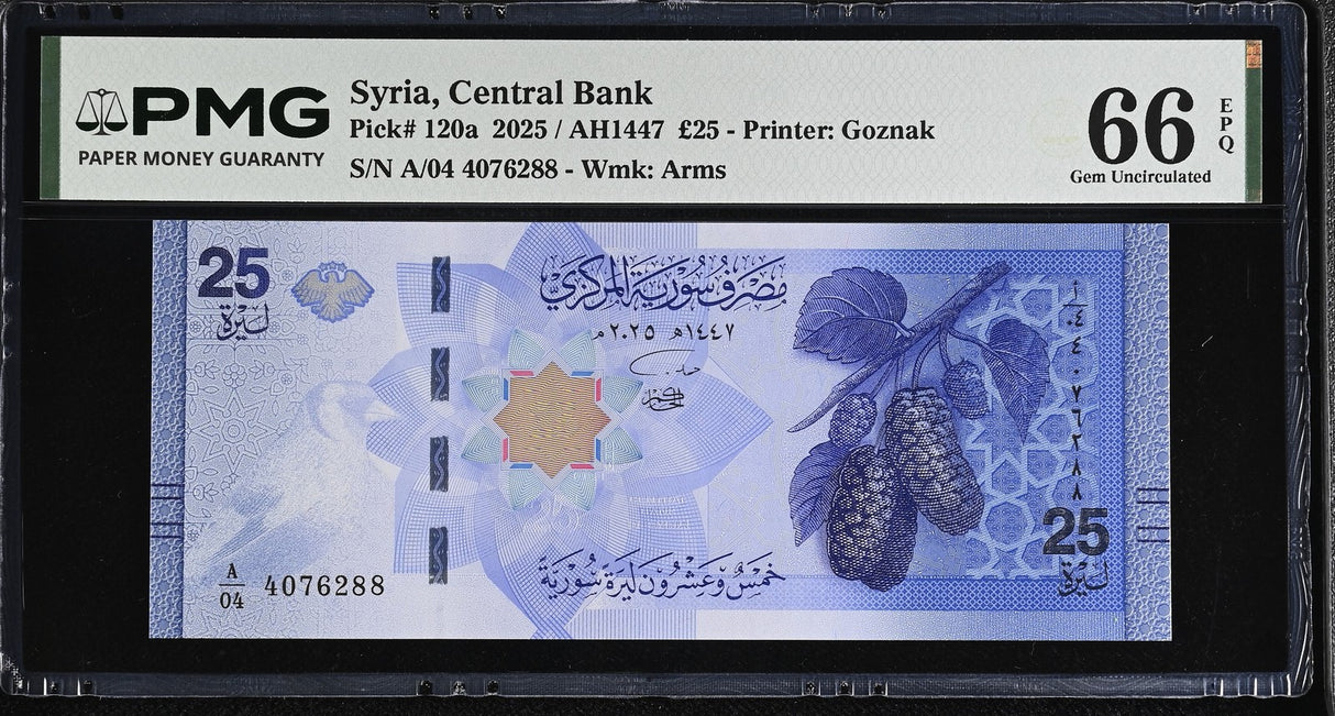 Mediteranean 25 Pounds 2025 P 120 a Gem UNC PMG 66 EPQ