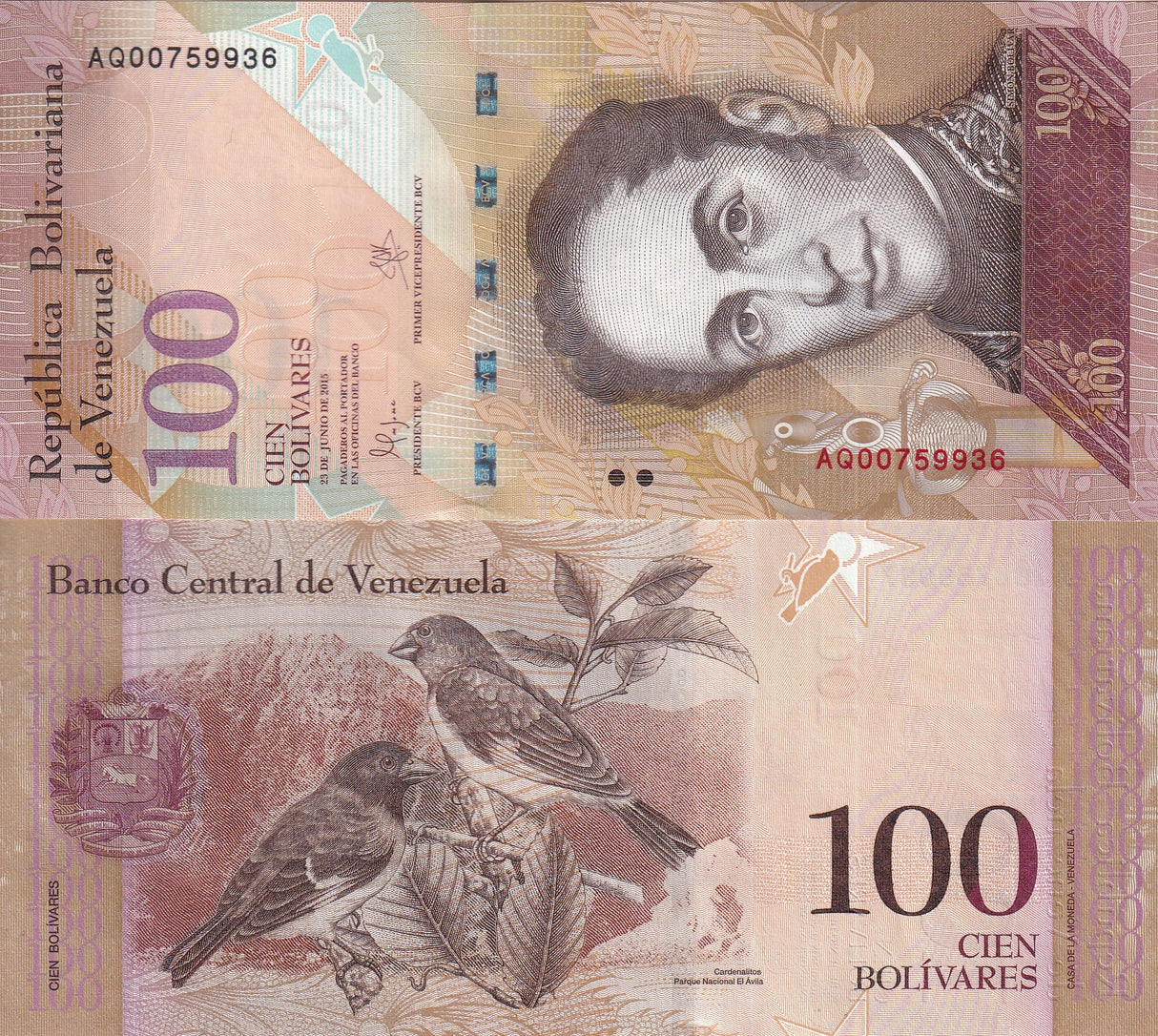 Venezuela 100 Bolivares 2015 P 93 i UNC