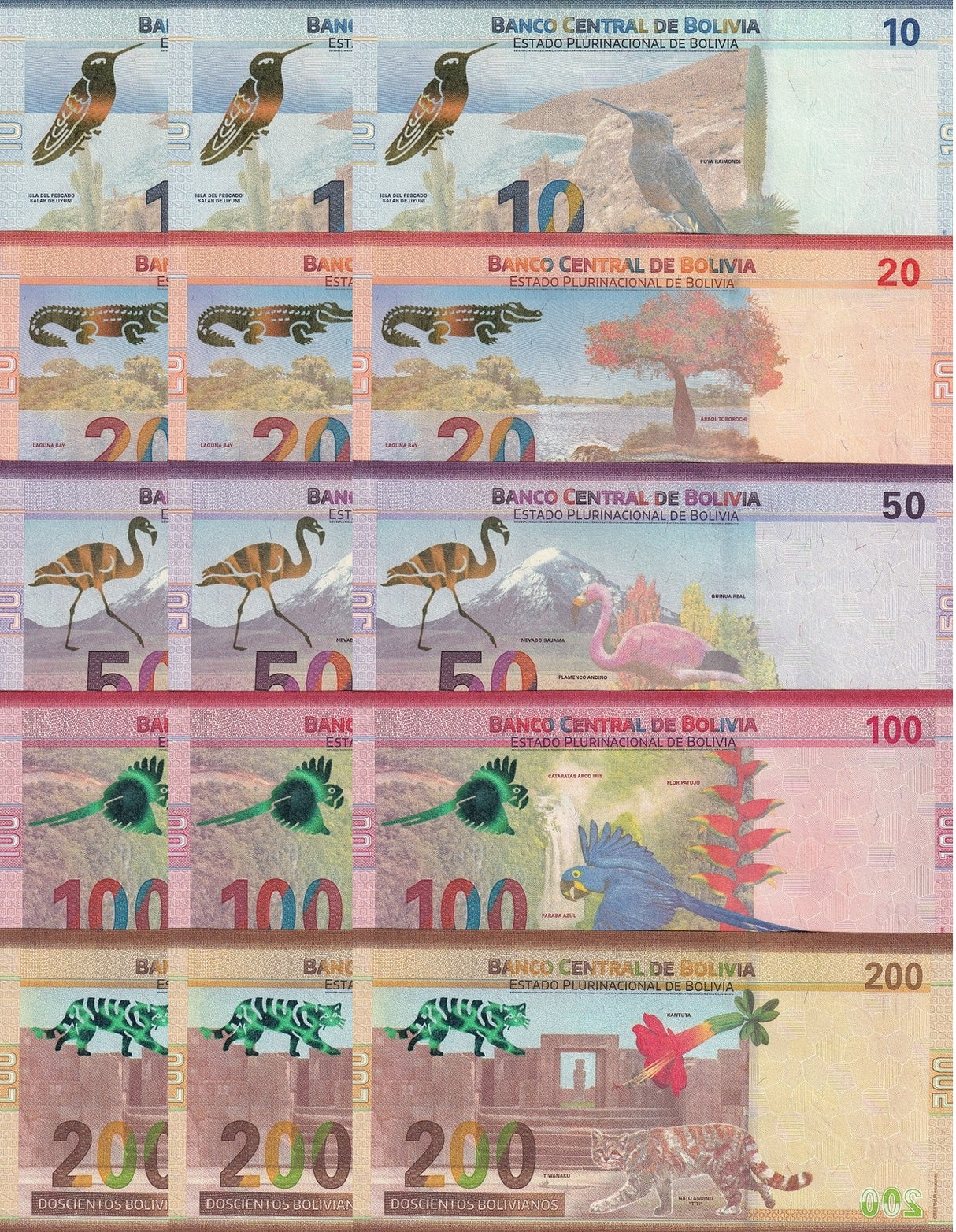 Bolivia SET 5 X LOT 3 = 15 UNC 10 20 50 100 200 Bolivianos 2018 P 248 249 250 251 252 UNC