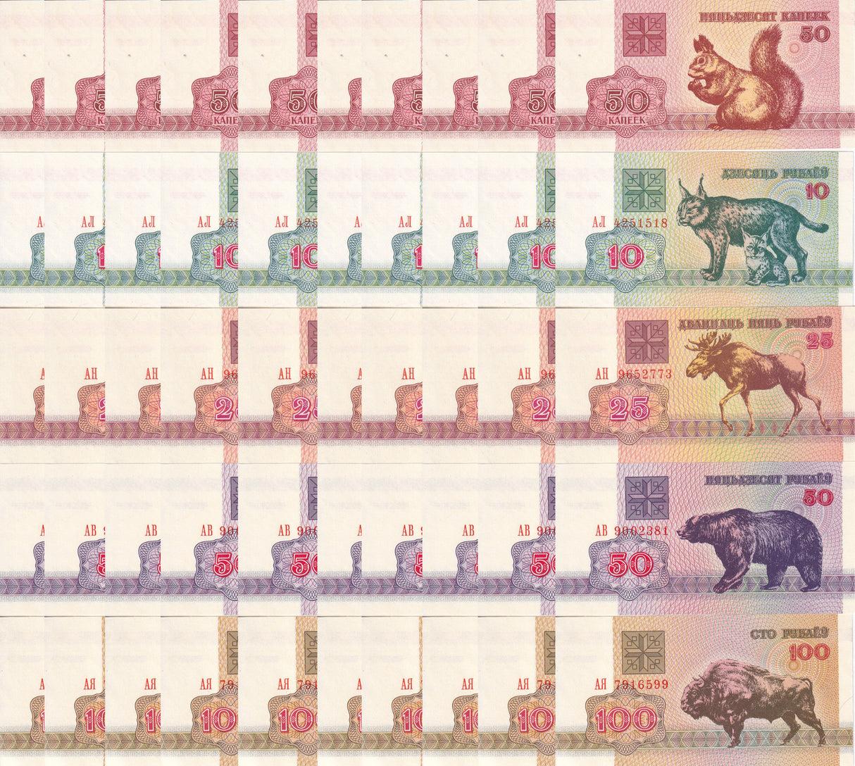 Belarus Set 5 x Lot 10 = 50 UNC 50 Kapeek 10 25 50 100 Rublei 1992 P 1 5 6 7 8