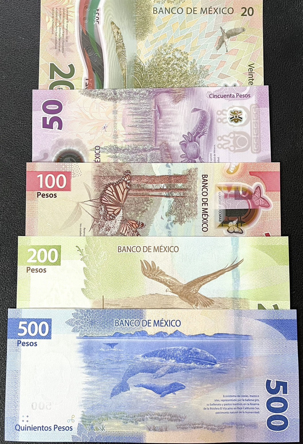 Mexico set 5 Pcs 20 50 100 200 500 Mixed Years P 131 131A 132 133 136 UNC