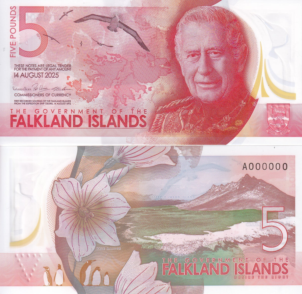 Falkland Islands SPECIMEN set 3 UNC 5 10 20 Pounds 2025 P NEW Polymer K Charles