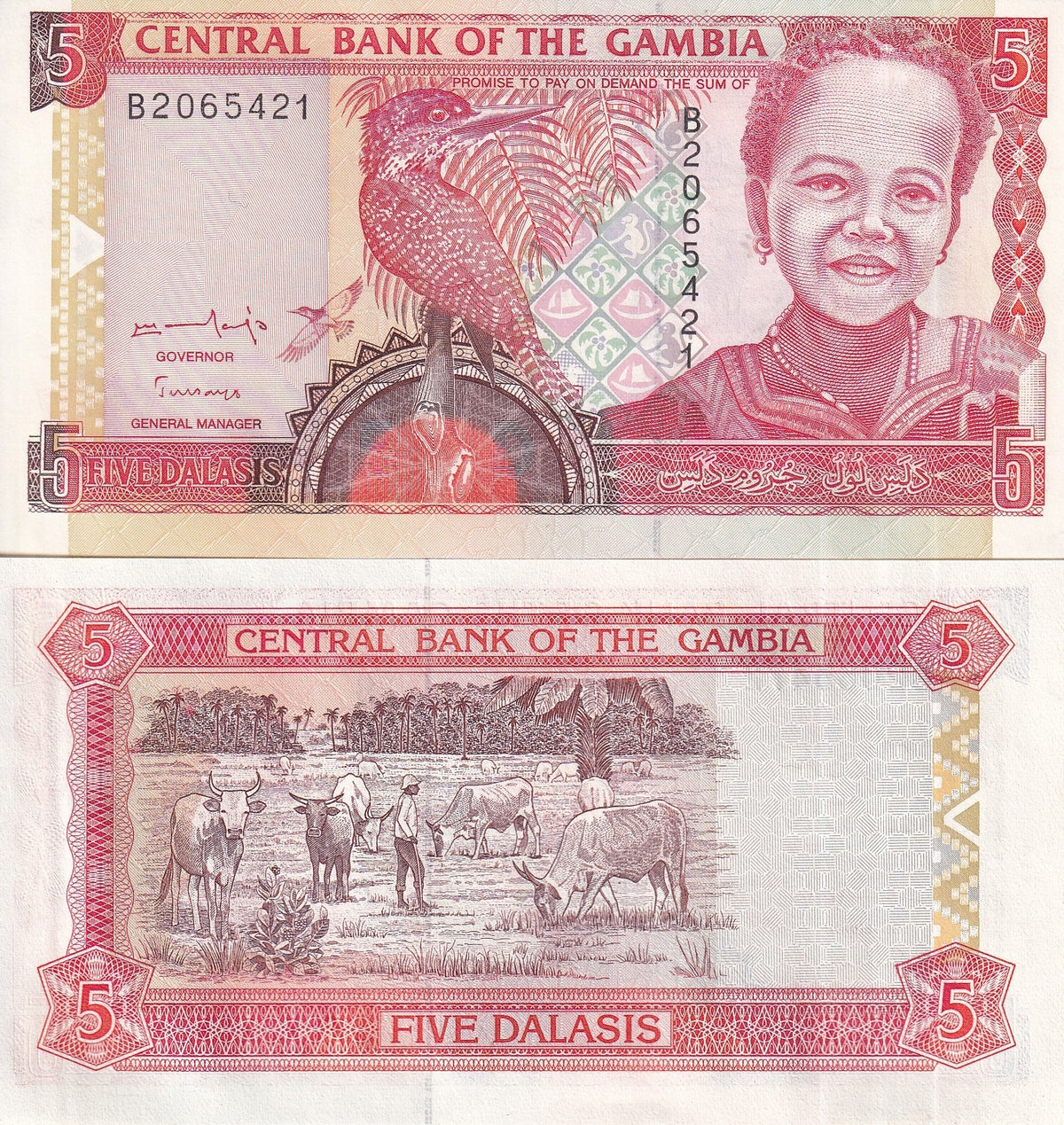 Gambia 5 Dalasis ND 1996 P 16 UNC