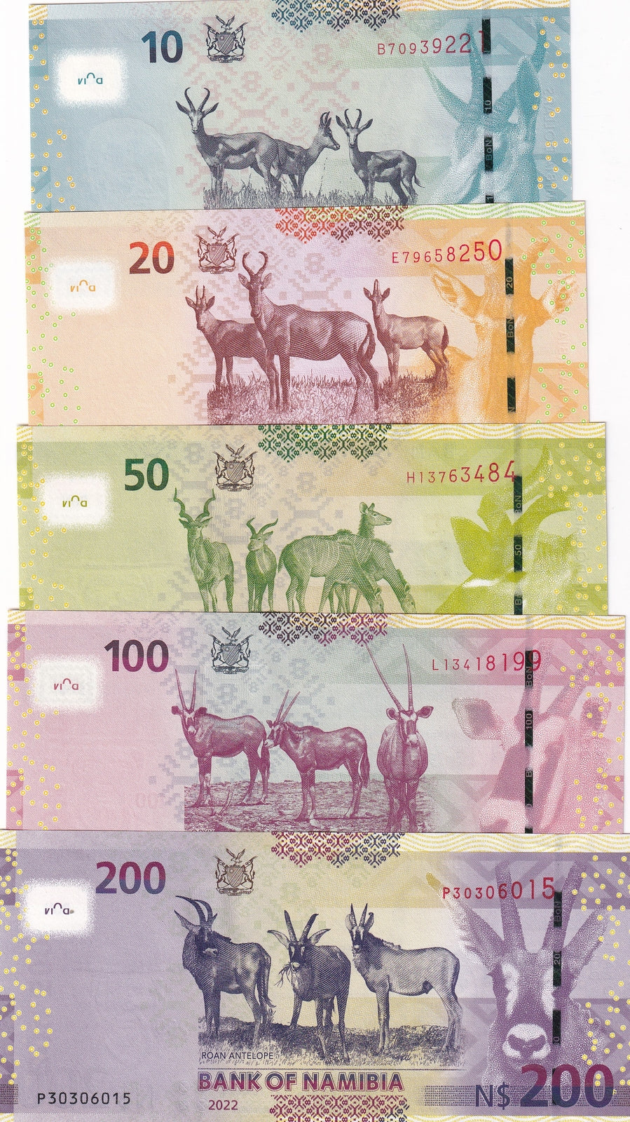 Namibia set 5 Pcs 10 20 50 100 200 Dollars 2022 - 2025 P 13 14 15 16 17