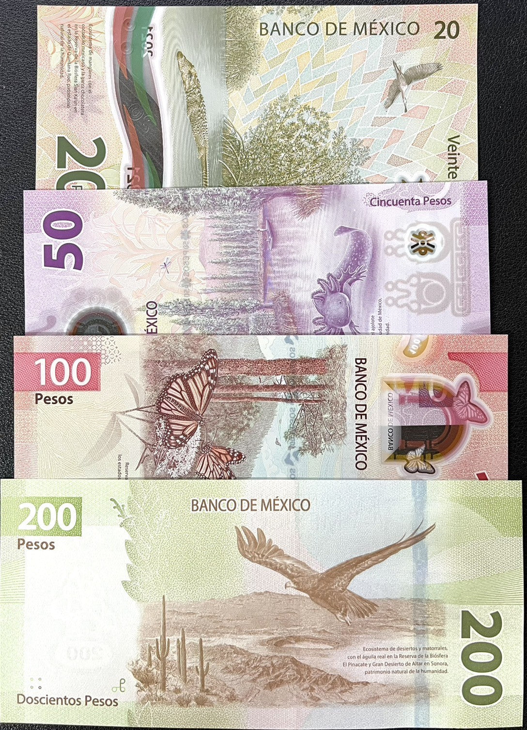 Mexico set 4 Pcs 20 50 100 200 Mixed Years P 131 131A 132 133 UNC