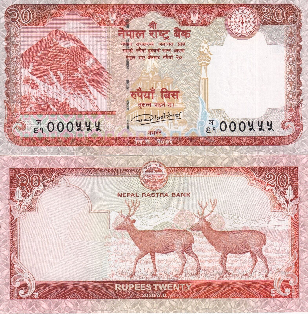 Nepal 20 Rupees 2020 P 78 b UNC Nice solid Number 555