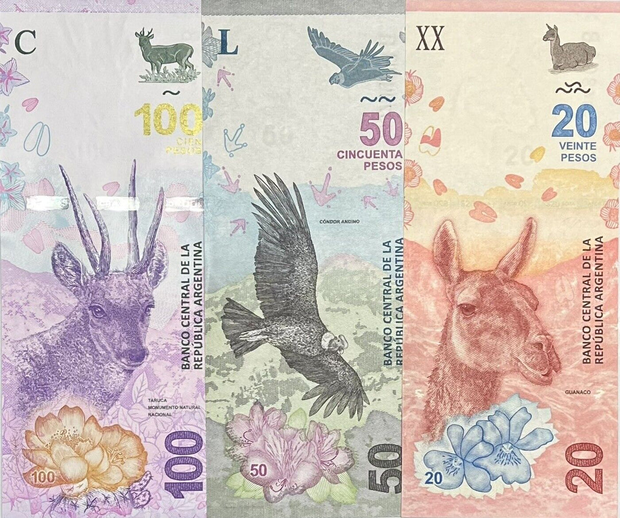 Argentina Set 3 Pcs 20 50 100 Pesos 2017 2018 2019 P 361 363 363Aa UNC