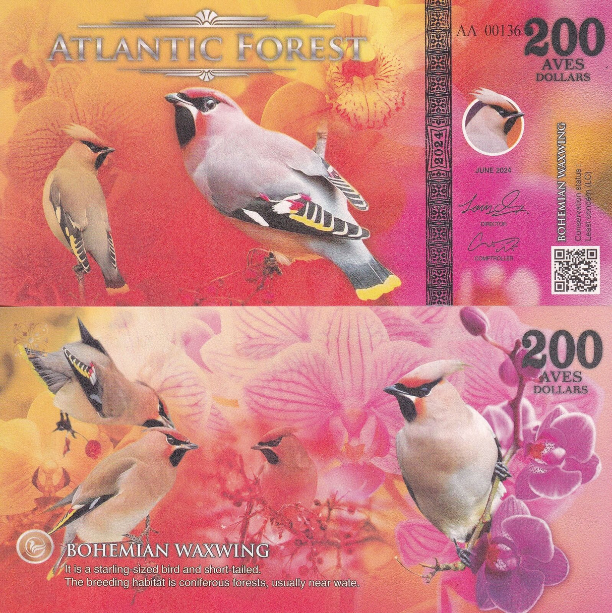 ATLANTIC FOREST Set 3; 100 200 500 AVES MAGPIE WAWING FINCH 2024 Fantasy