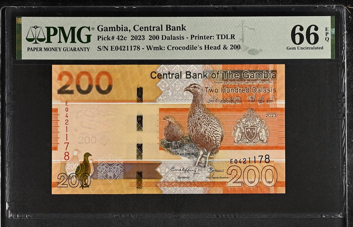 Gambia 200 Dalasis 2023 P 42 c Gem UNC PMG 66 EPQ