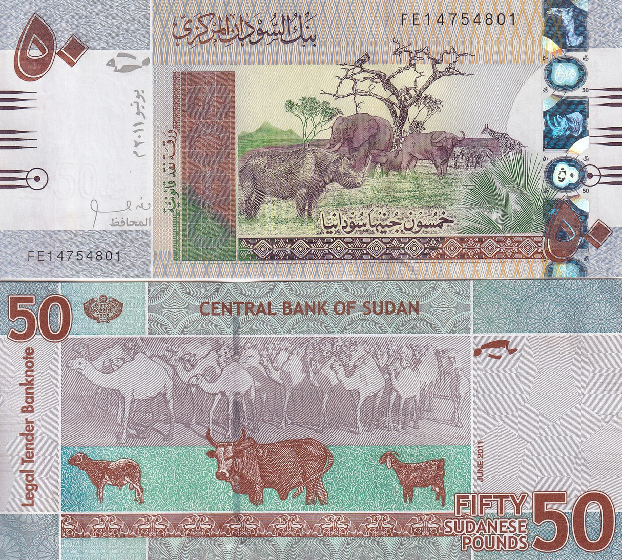 Sudan 50 Pounds 2011 P 75 a Rhino Cow UNC