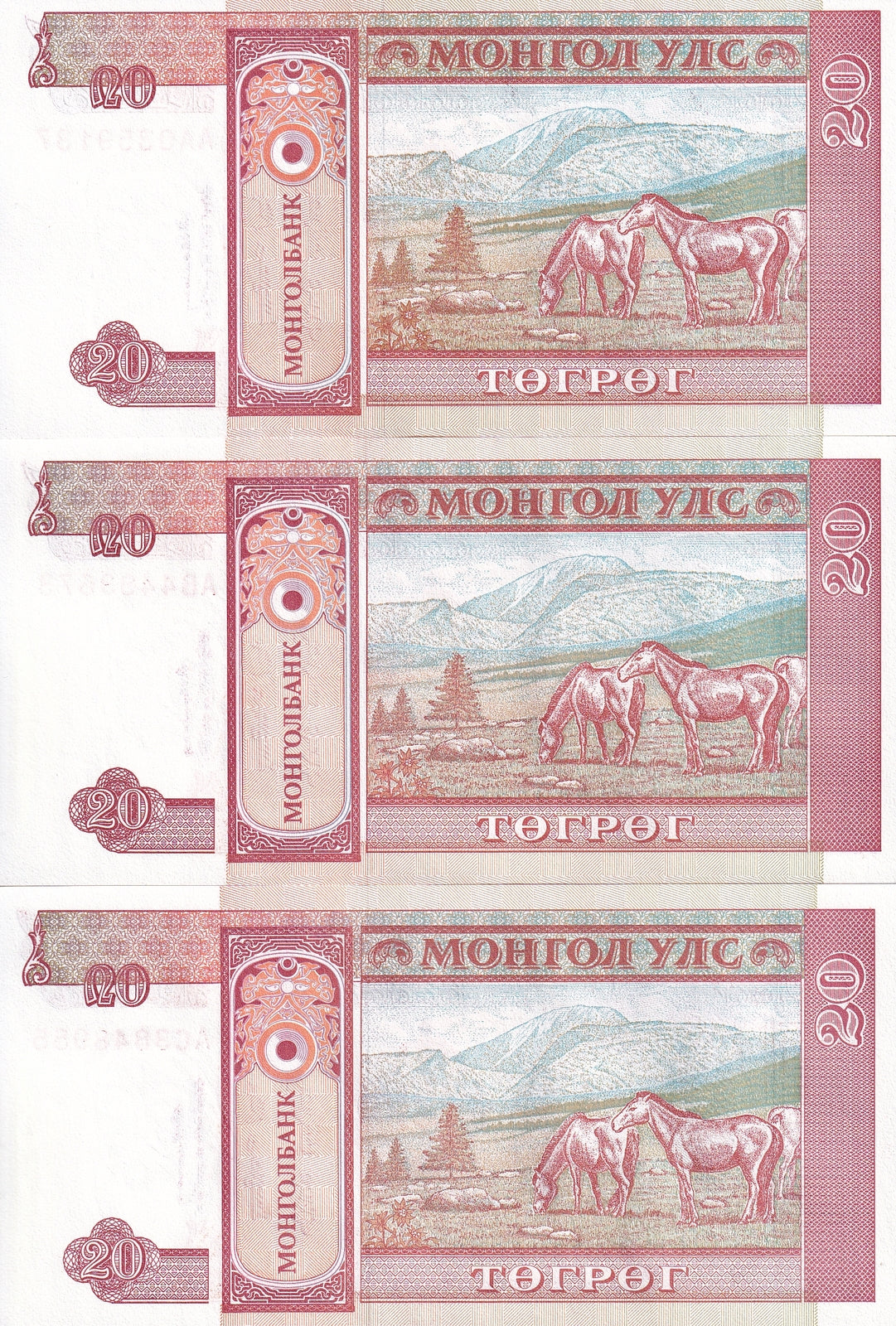 Mongolia SET 3 UNC 20 Tugrik ND 1993 P 55 AA AB AC Prefix