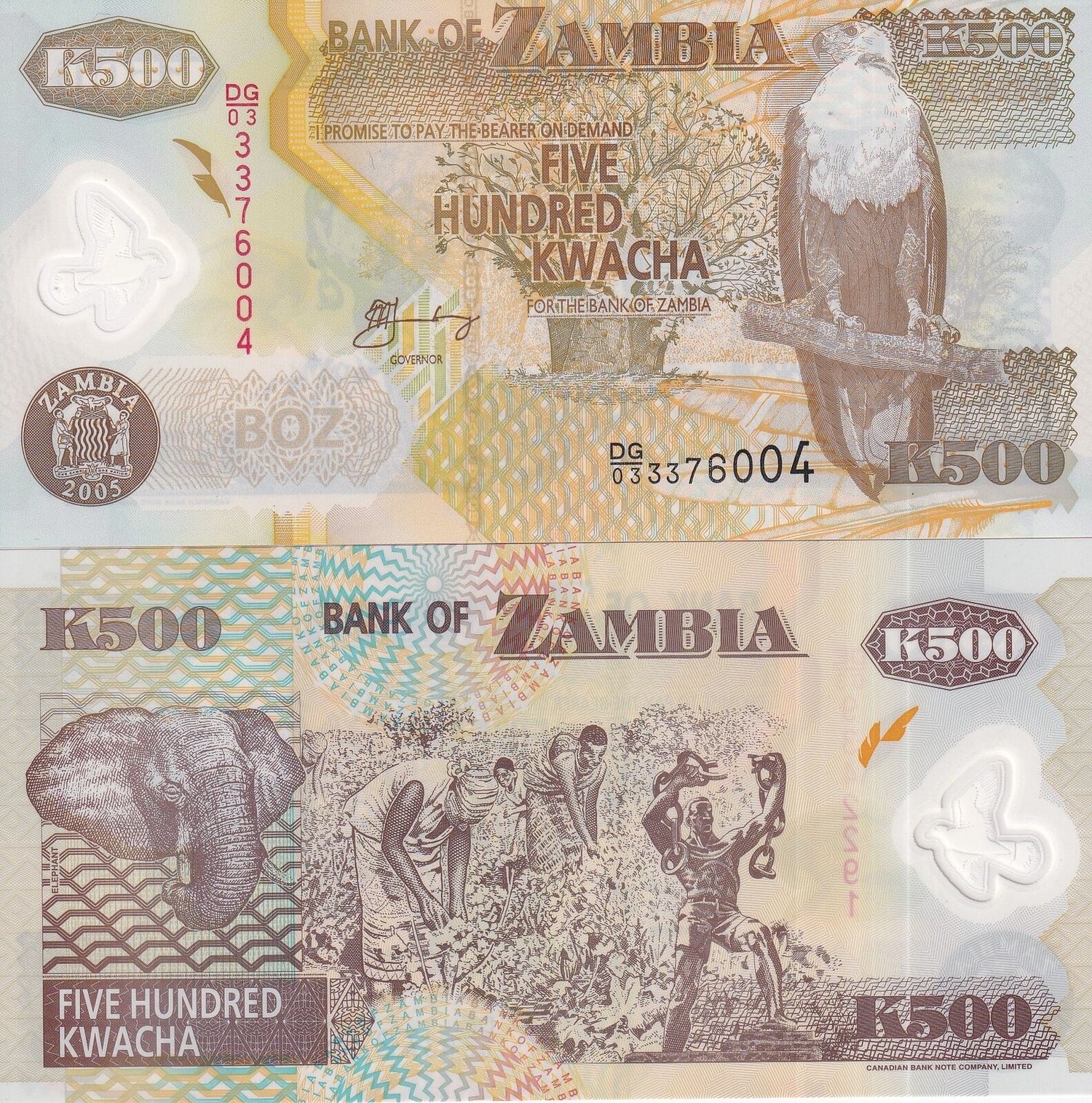 Zambia 500 Kwacha 2005 P 43 d Polymer UNC
