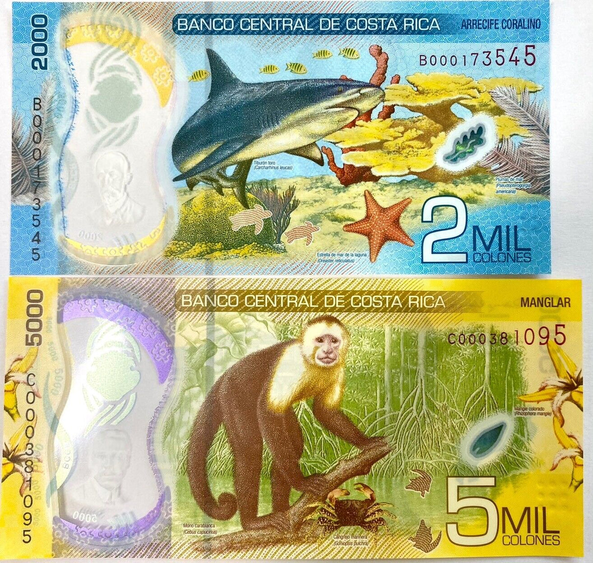 Costa Rica Set 2 UNC 2000 5000 Colones 2018/2020 P 281 282 Polymer