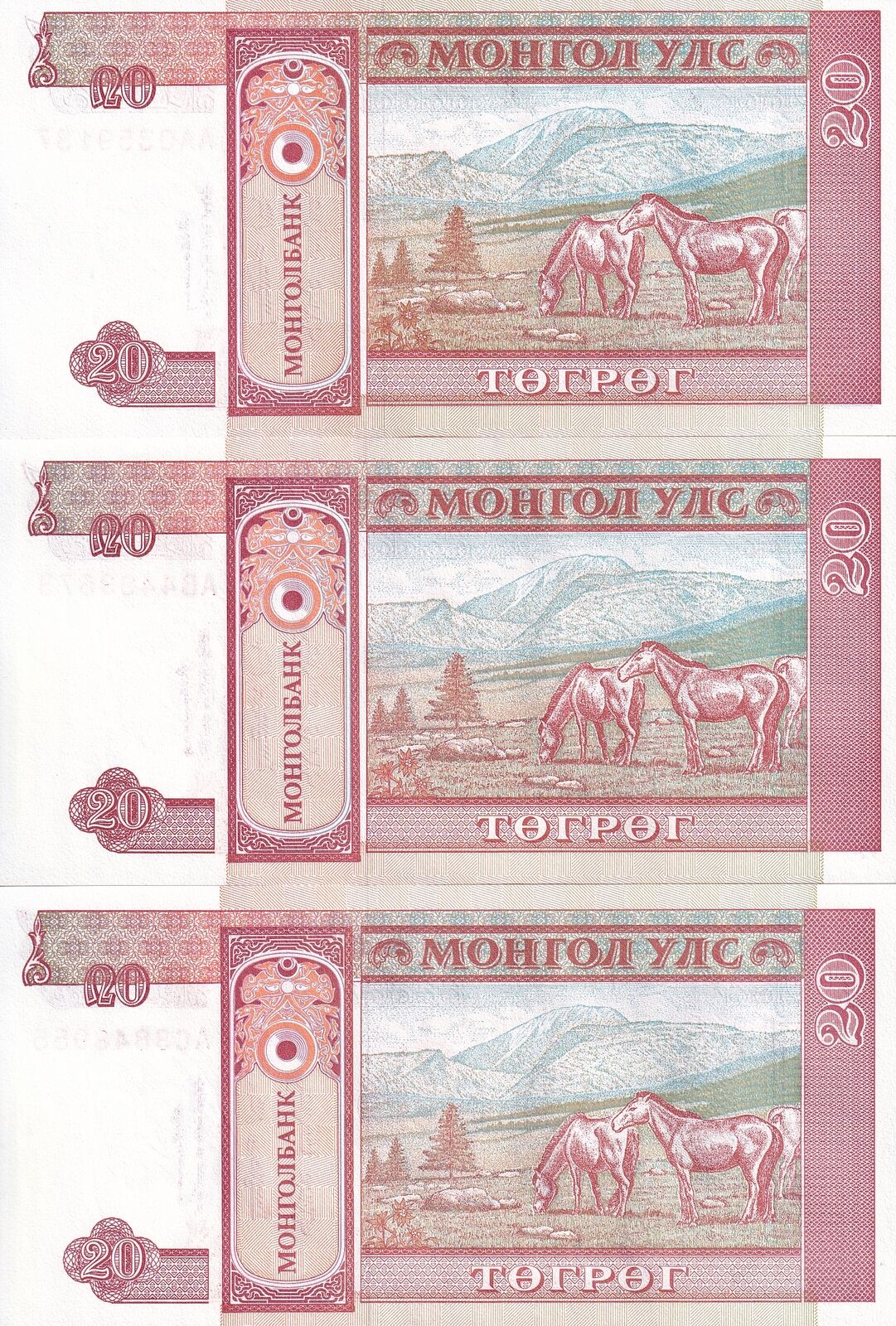 Mongolia SET 3 UNC 20 Tugrik ND 1993 P 55 AA AB AC Prefix