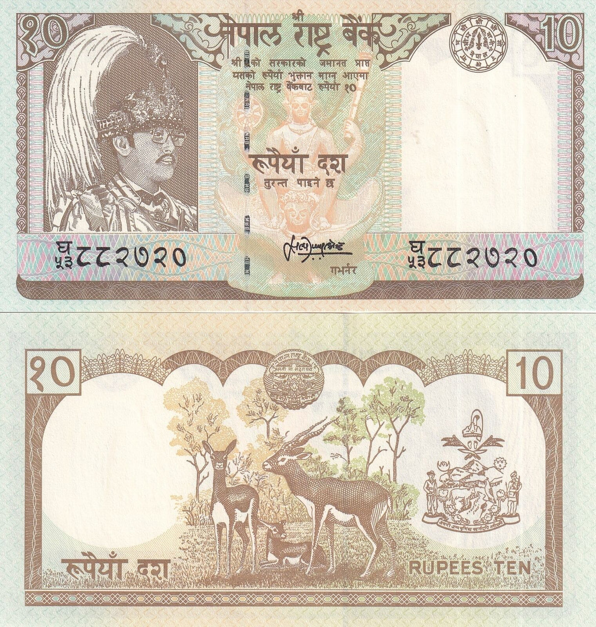 Nepal 10 Rupees ND 1990-1995 P 31 b UNC