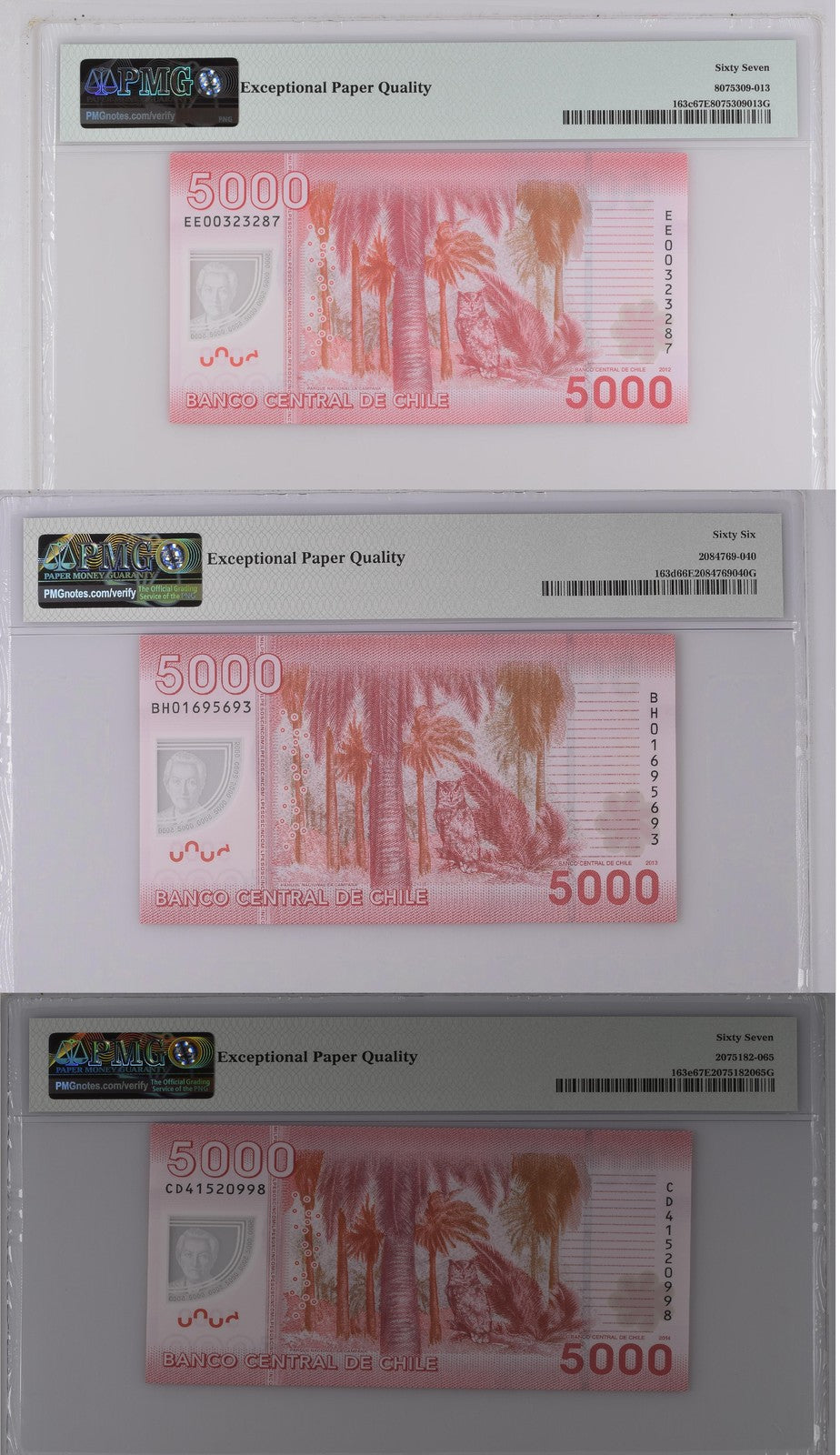 Chile Set 3; 5000 Pesos 2012 2013 2014 P 163 Superb Gem UNC PMG 66 67 EPQ