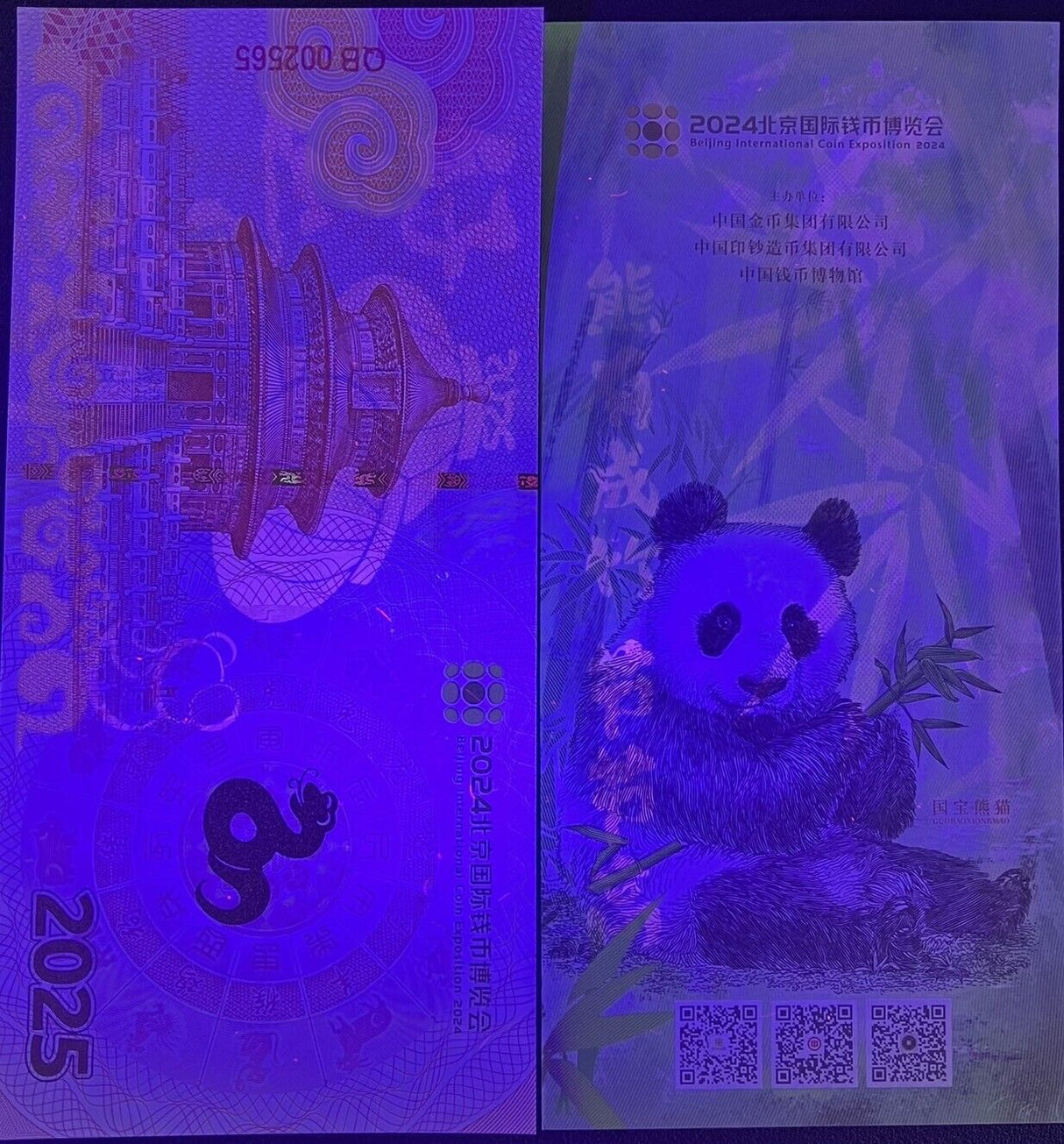 CHINA Test Note 2024 / 2025 Panda / Snake Zodiac Beijing International Coin Exp