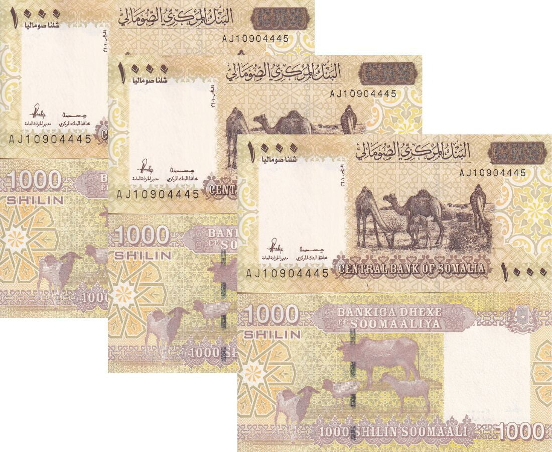 Somalia 1000 Shillings 2010 ND 2024 P 38 Camel UNC LOT 3 Pcs
