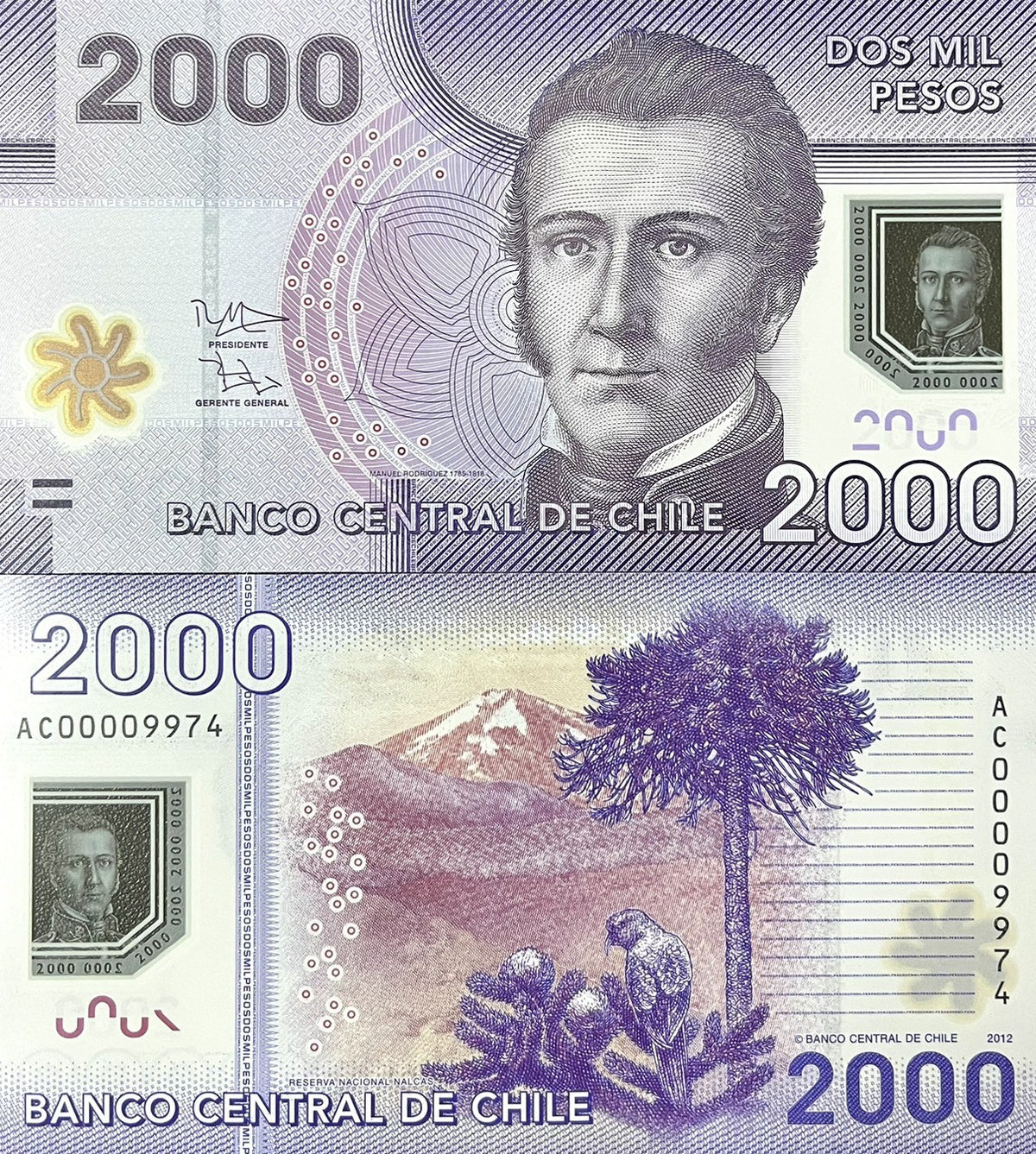 Chile 2000 Pesos 2012 P 162 b Polymer UNC Manuel Rodrigues Erdoyza