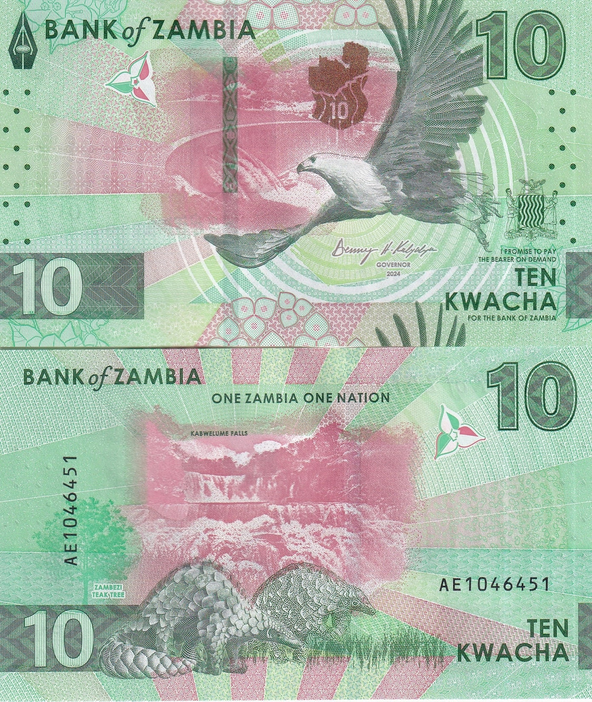 Zambia 10 Kwacha 2024 2025 P 62 Pangolins EAGLE UNC