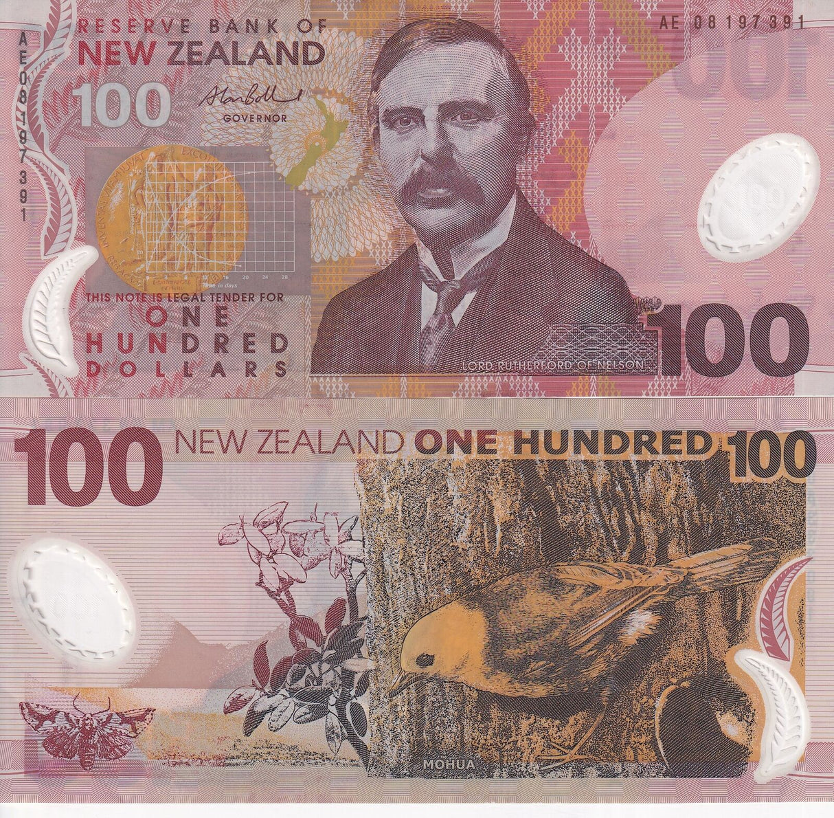 New Zealand 100 Dollars 2008 Polymer P 189 b AUnc
