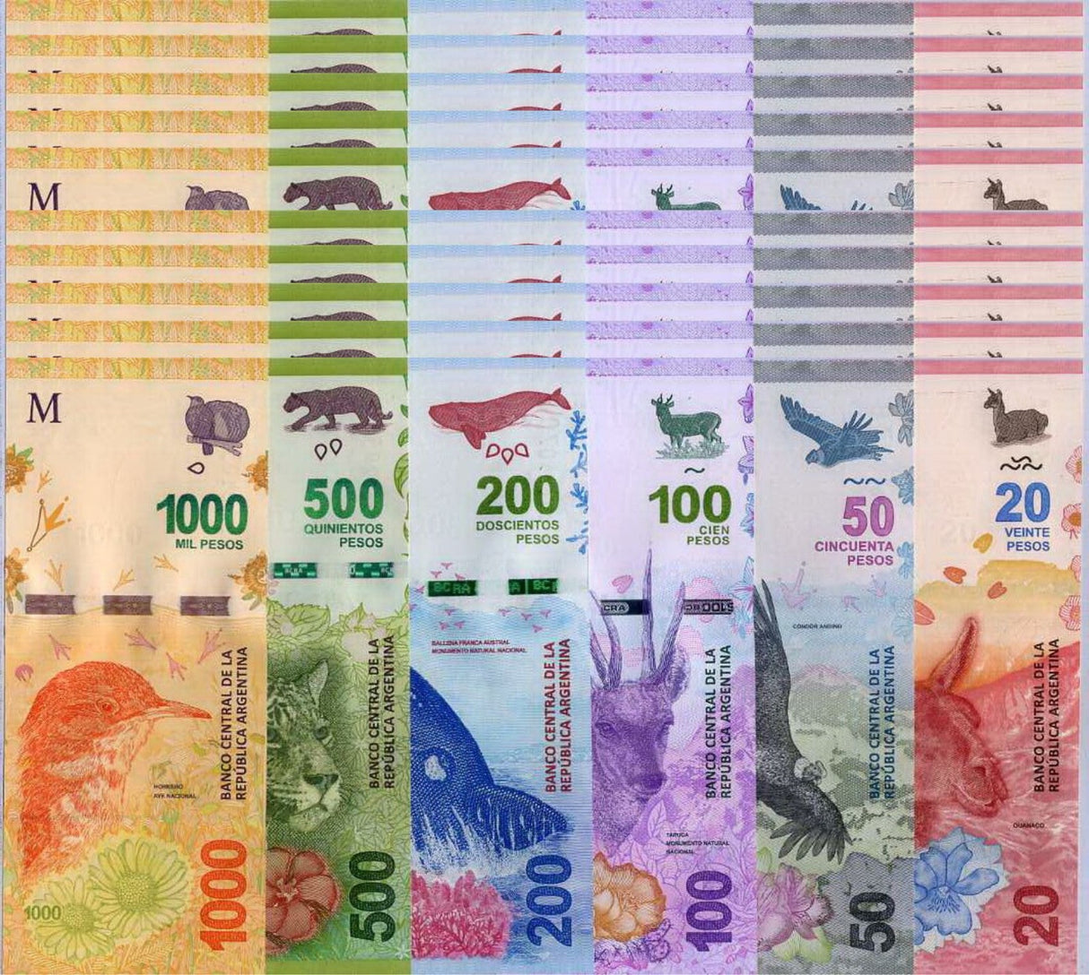 Argentina Set 6 x LOT 10 = 60 UNC 20 50 100 200 500 1000 Pesos P 361- 365 366