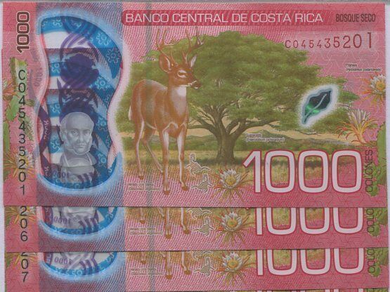 Costa Rica 1000 Colones 2019 ND 2021 p 280 a Polymer UNC Lot 3 PCS