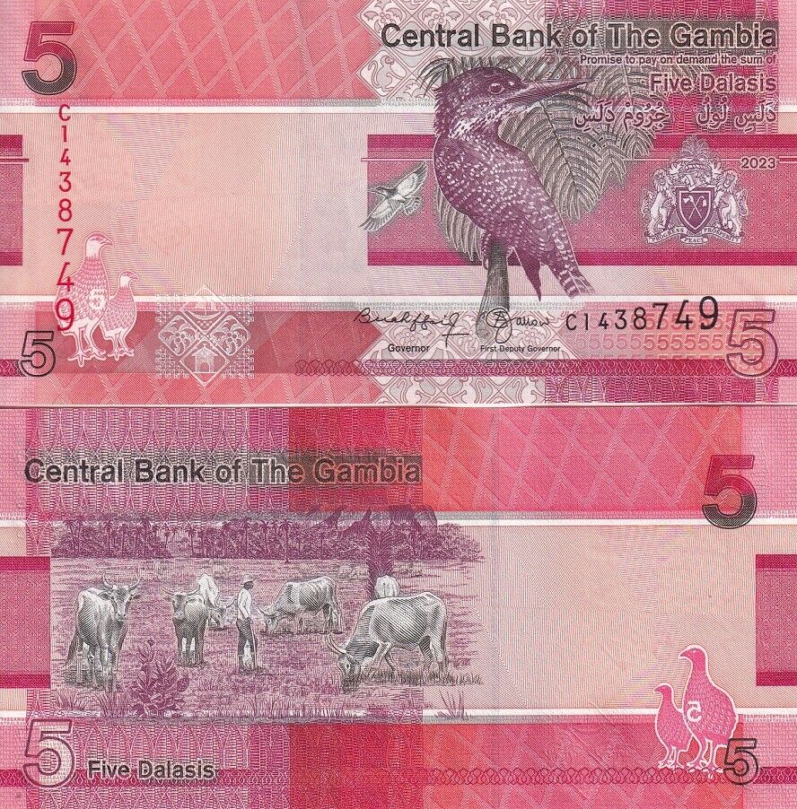 Gambia 5 Dalasis 2023/2024 P 37 NEW Sign UNC LOT 10 PCS