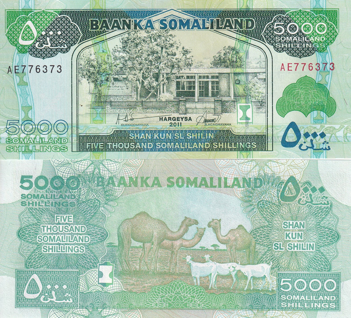 Somaliland 5000 Shillings 2011 P 21 a UNC