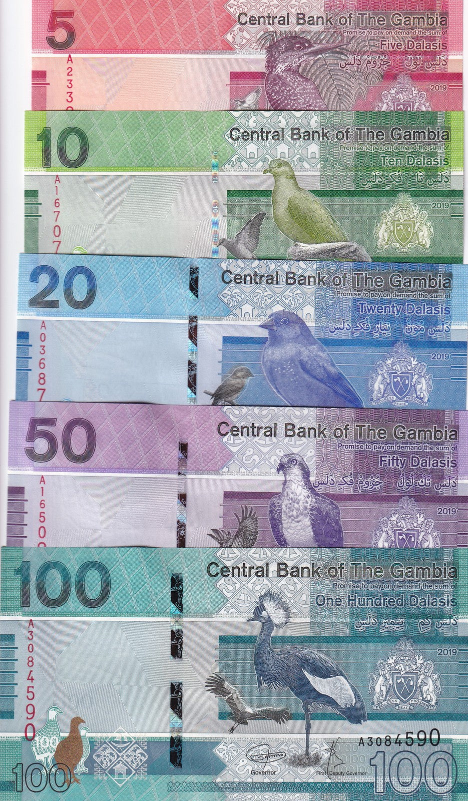 Gambia Set 5 PCS 5 10 20 50 100 Dalasis 2019 P 37 38 39 40 41 UNC
