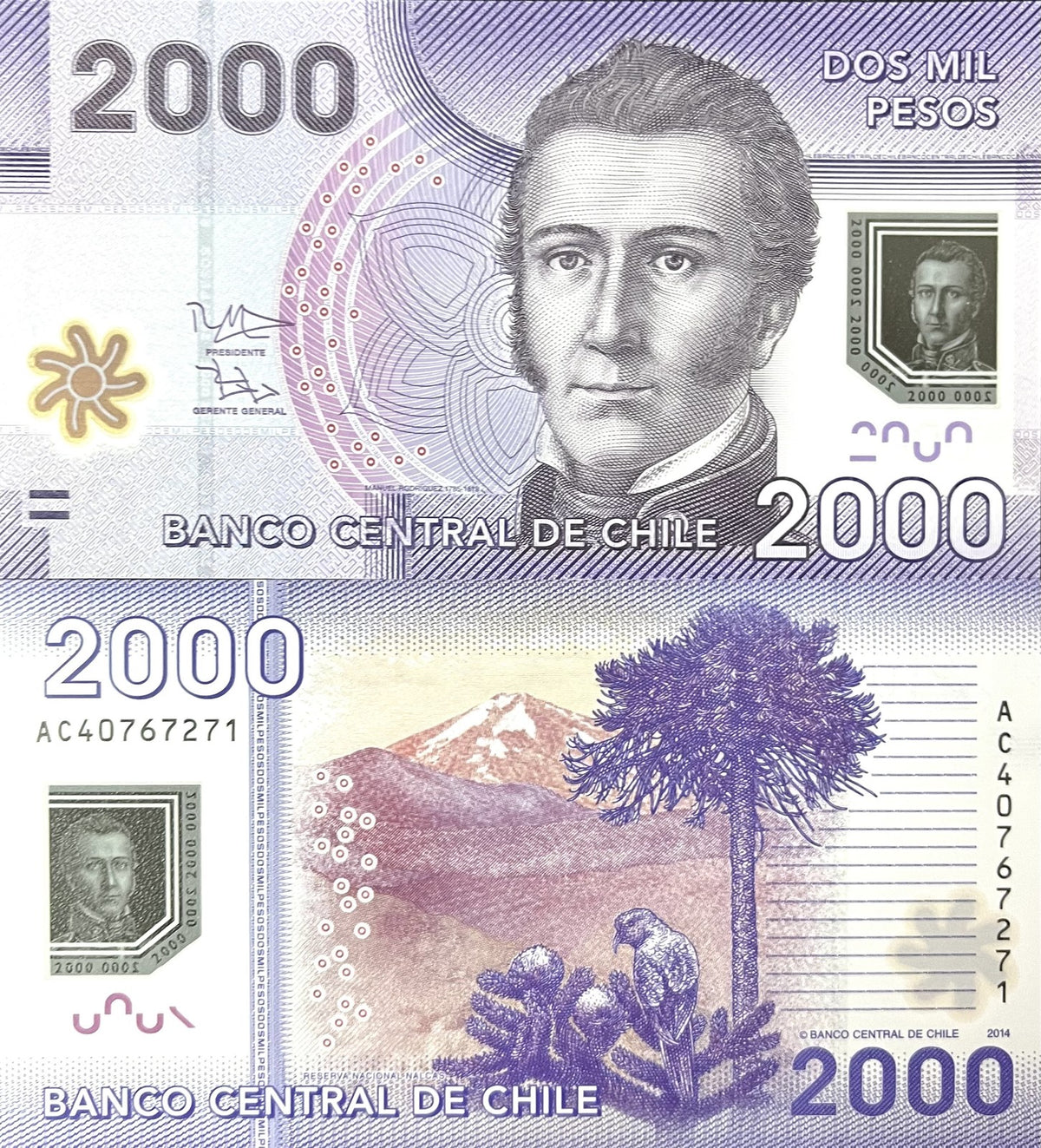 Chile 2000 Pesos 2014 P 162 d Polymer UNC Manuel Rodrigues Erdoyza