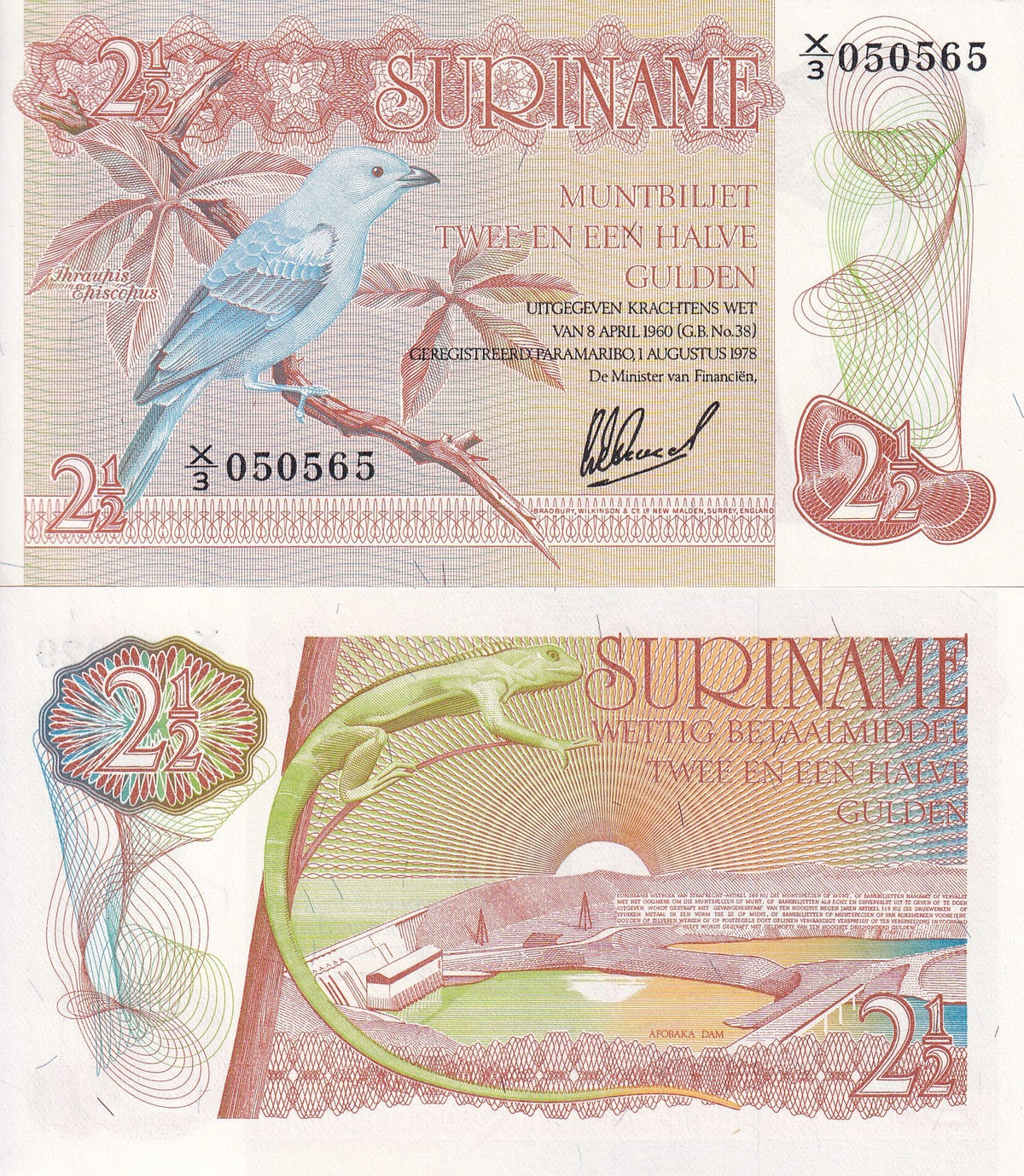 Suriname 2 1/2 Gulden 1978 P 118 UNC ,Afobaka dam, Lizard Blue-gray tanager