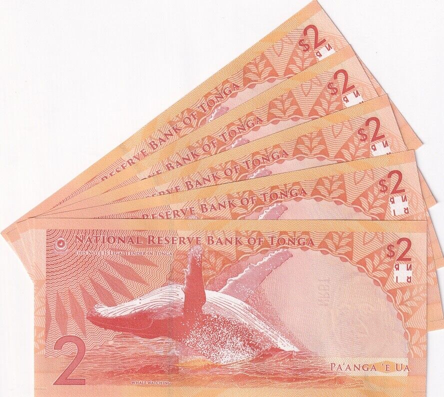 Tonga 2 Pananga 2023 2024 P 50 NEW Design Whale LOT 5 AUnc