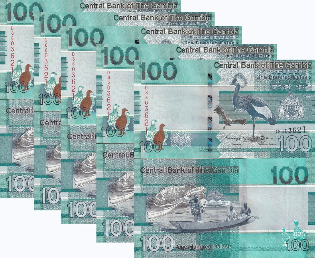 Gambia 100 Dalasis 2023/2024 P 41 NEW Sign UNC LOT 5 PCS
