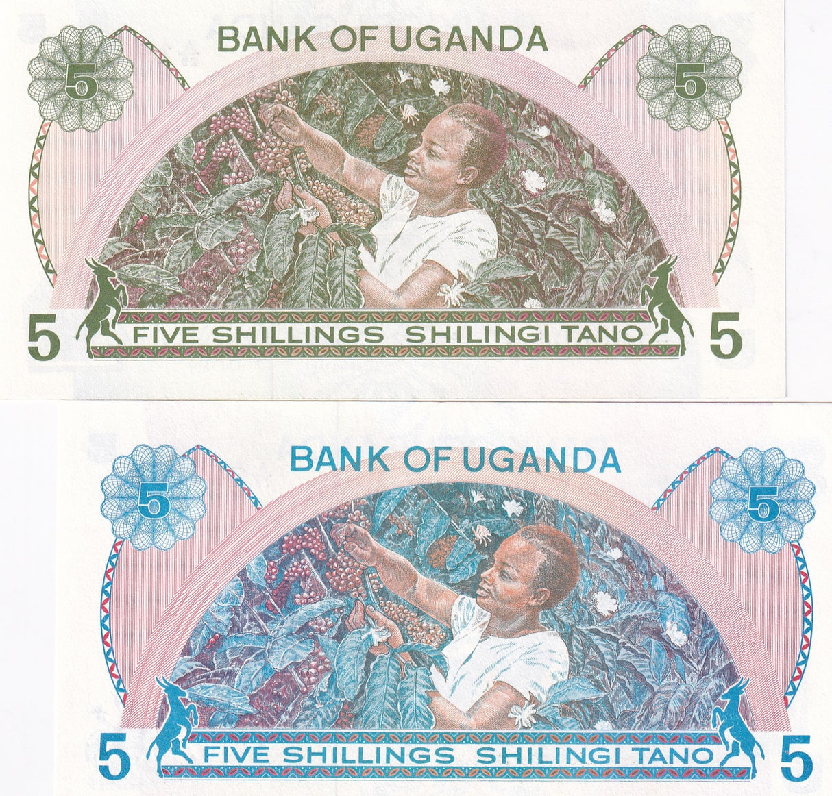 Uganda Set 2 PCS of 5 Shillings ND 1979 P 10 P 15 UNC