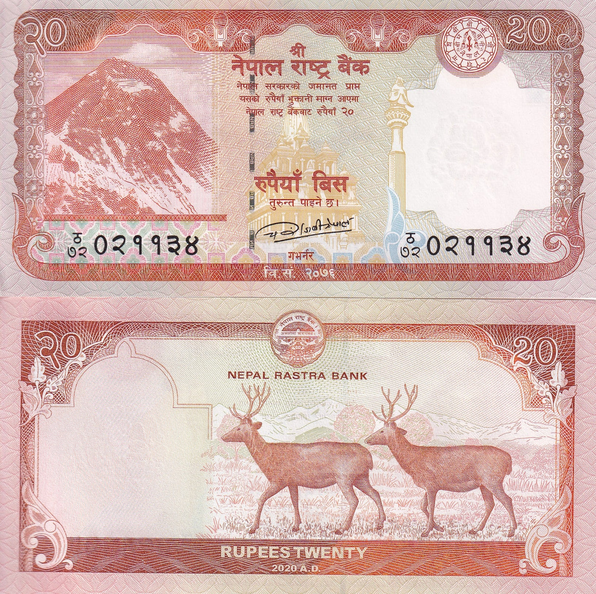 Nepal 20 Rupees 2020 P 78 b Sambar Deers UNC