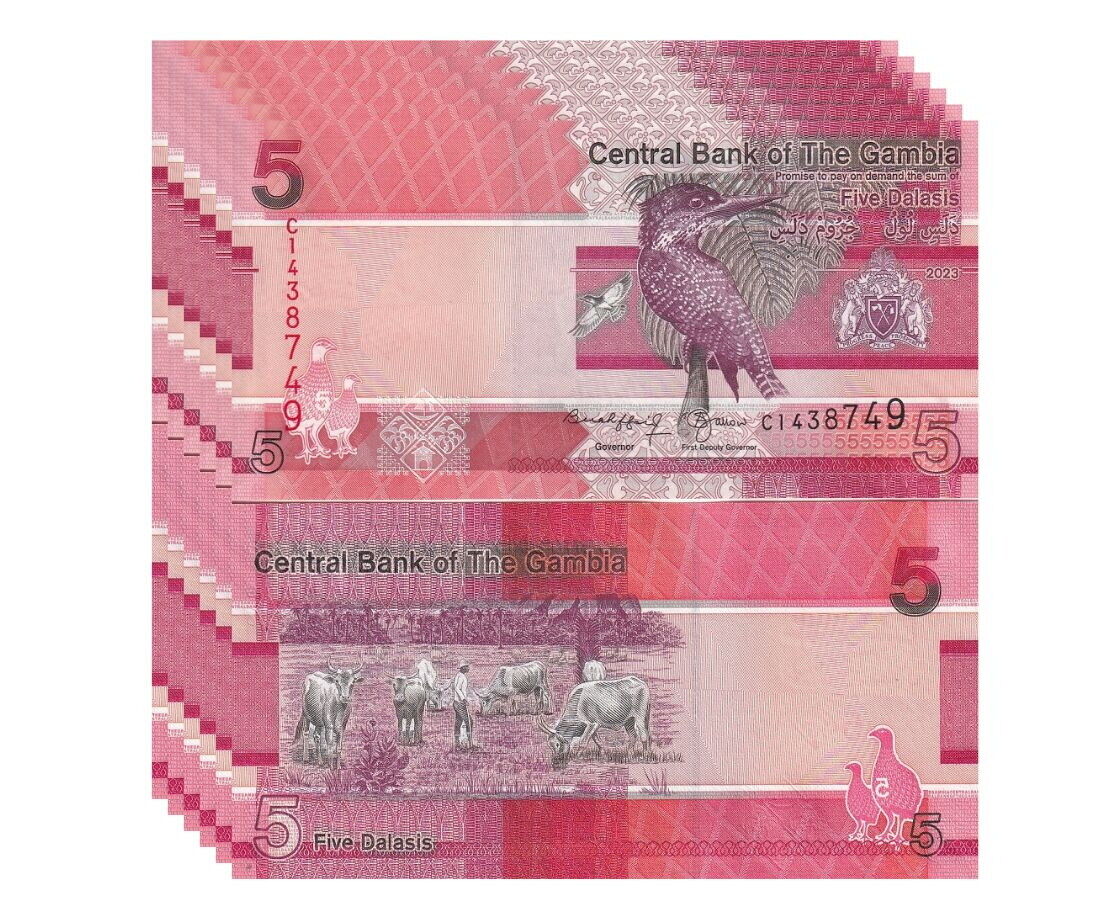Gambia 5 Dalasis 2023/2024 P 37 NEW Sign UNC LOT 5 PCS