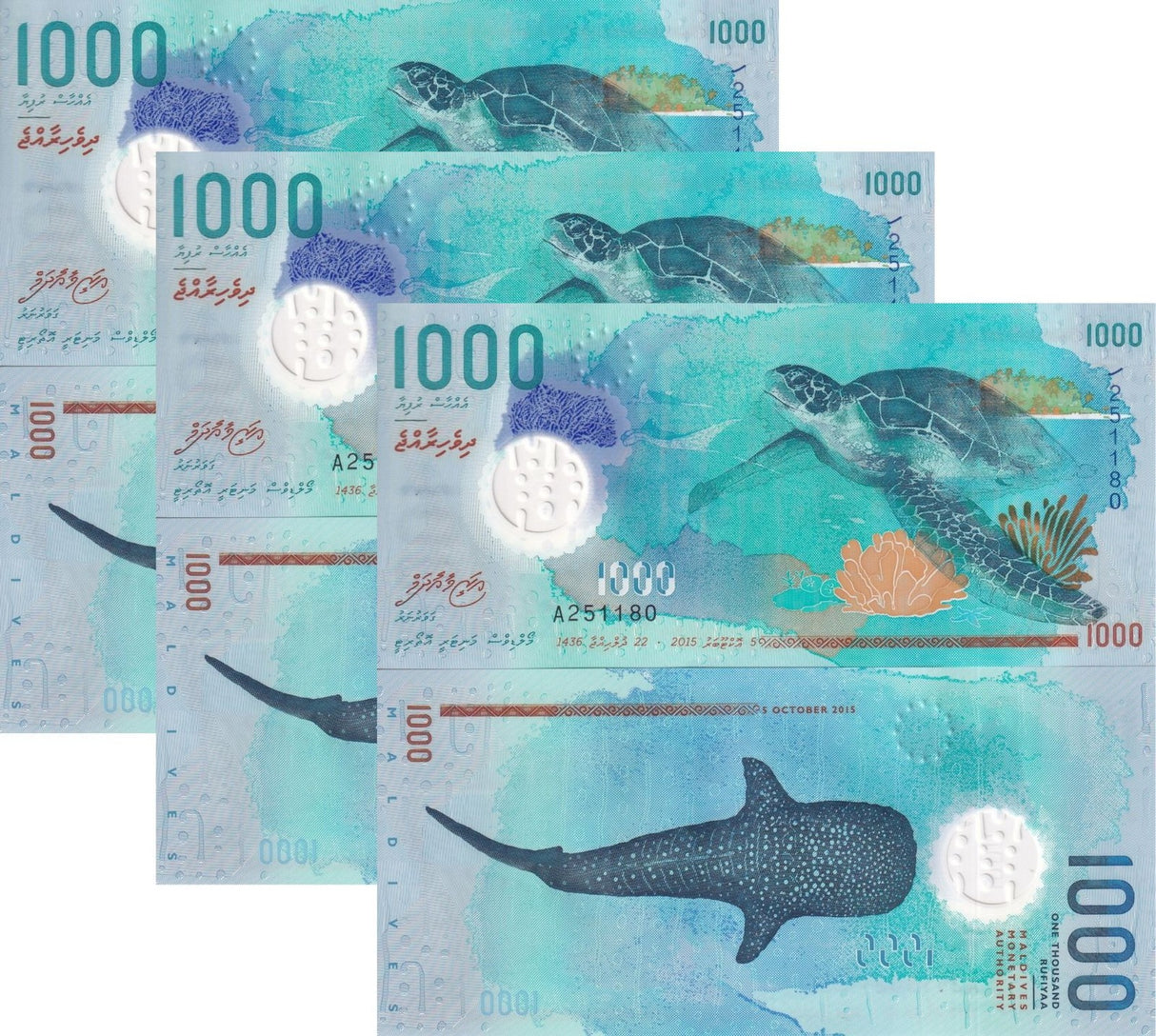 Maldives 1000 Rufiyaa 2015 Polymer P 31 UNC LOT 3 PCS Chelonia mydas Whale shark