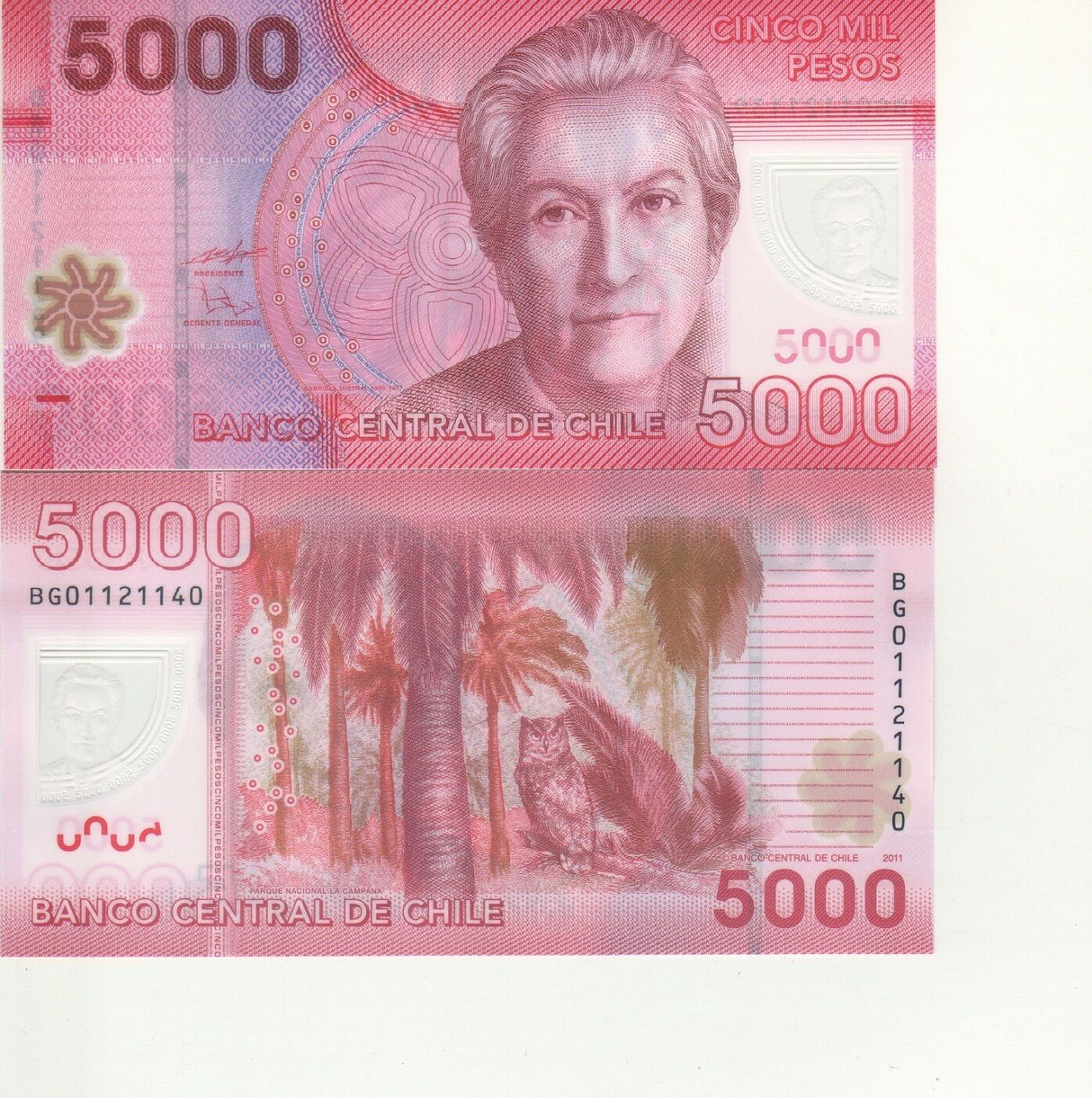 Chile 5000 Pesos Polymer ND 2011 P 163 UNC
