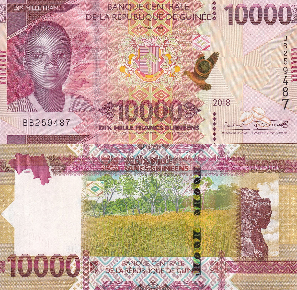 Guinea 10000 Francs 2018 / 2019 P New UNC