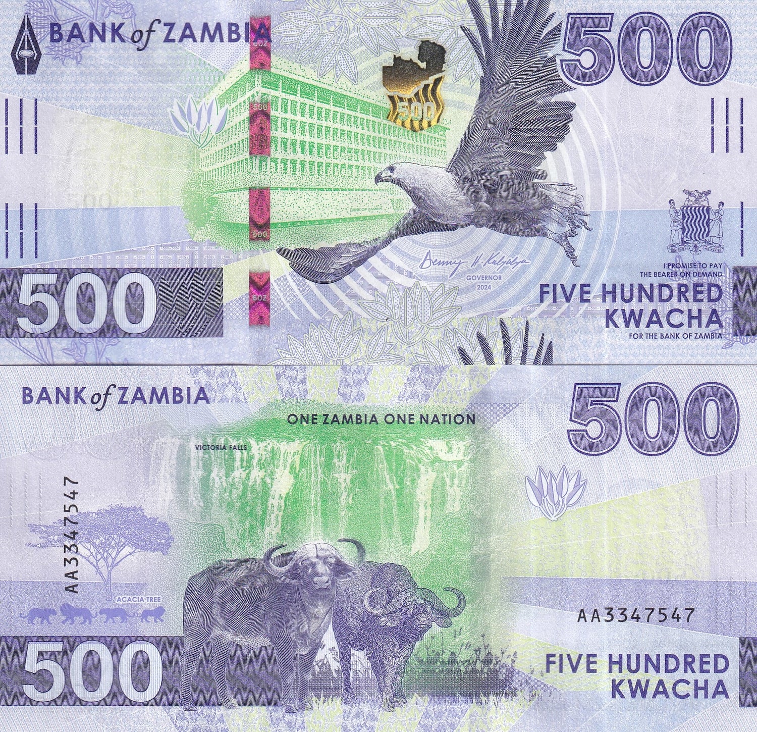 Zambia 500 Kwacha 2025 P 67 BISON EAGLE UNC