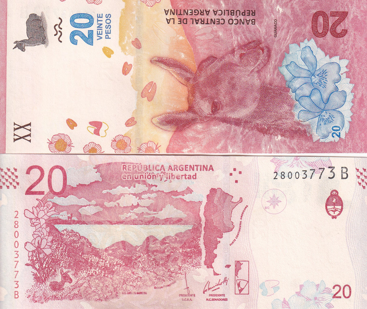 Argentina 20 Pesos ND 2017 P 361 UNC