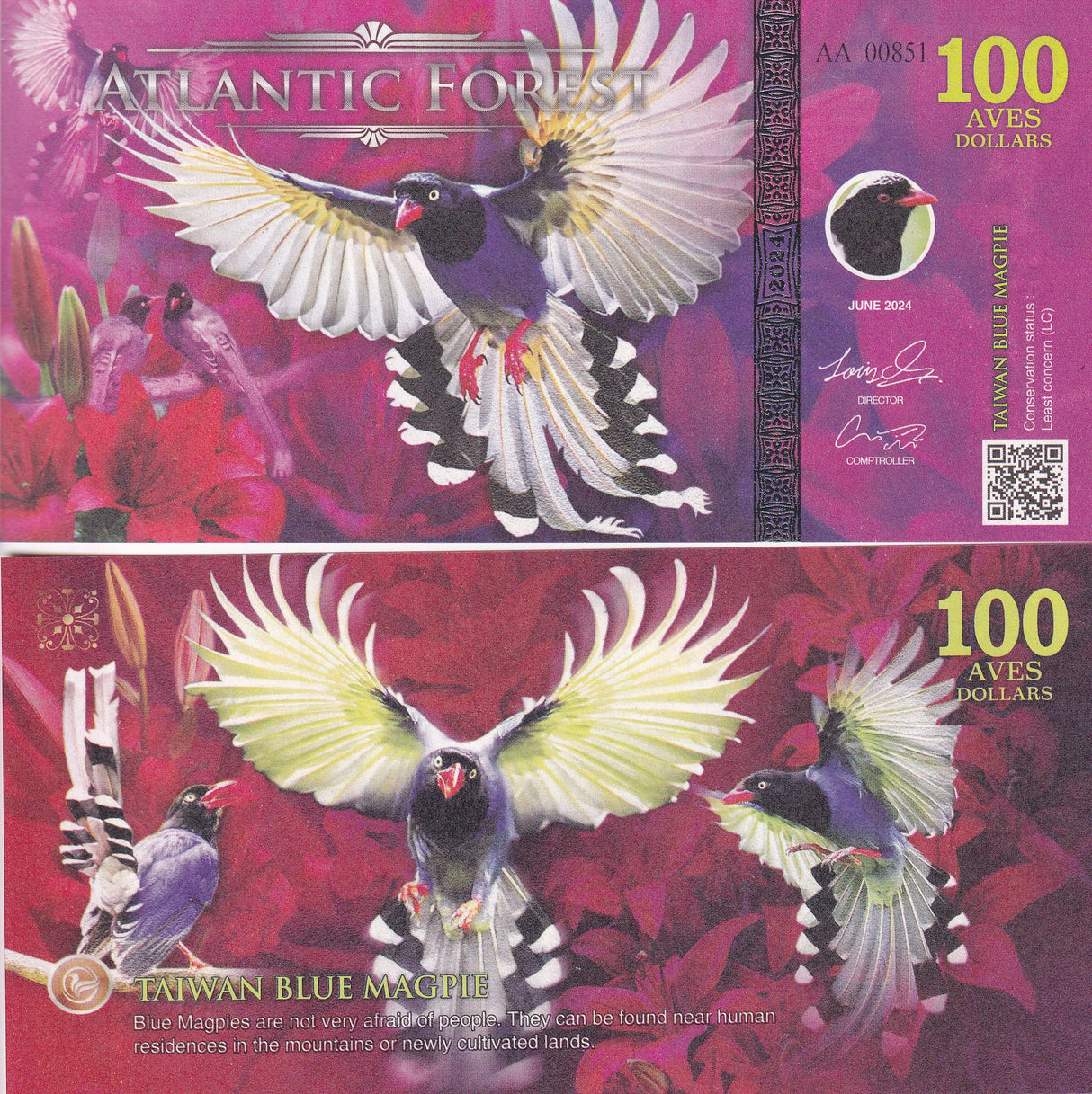 ATLANTIC FOREST 100 AVES DOLLARS TAIWAN BLUE MAGPIE 2024 Fantasy
