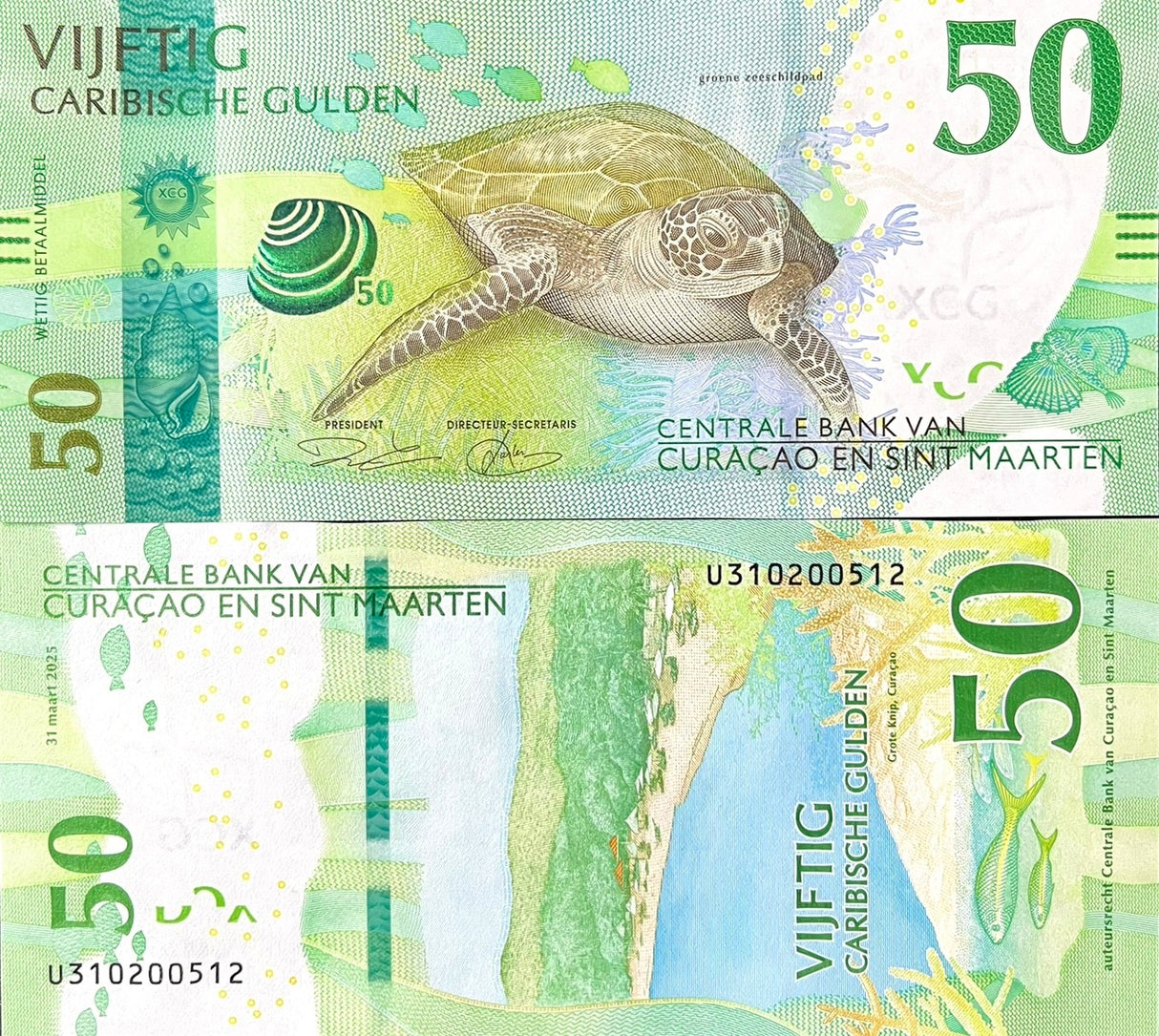 CURACAO & St MAARTEN 50 Gulden 2025 P 3 NEW Turle UNC