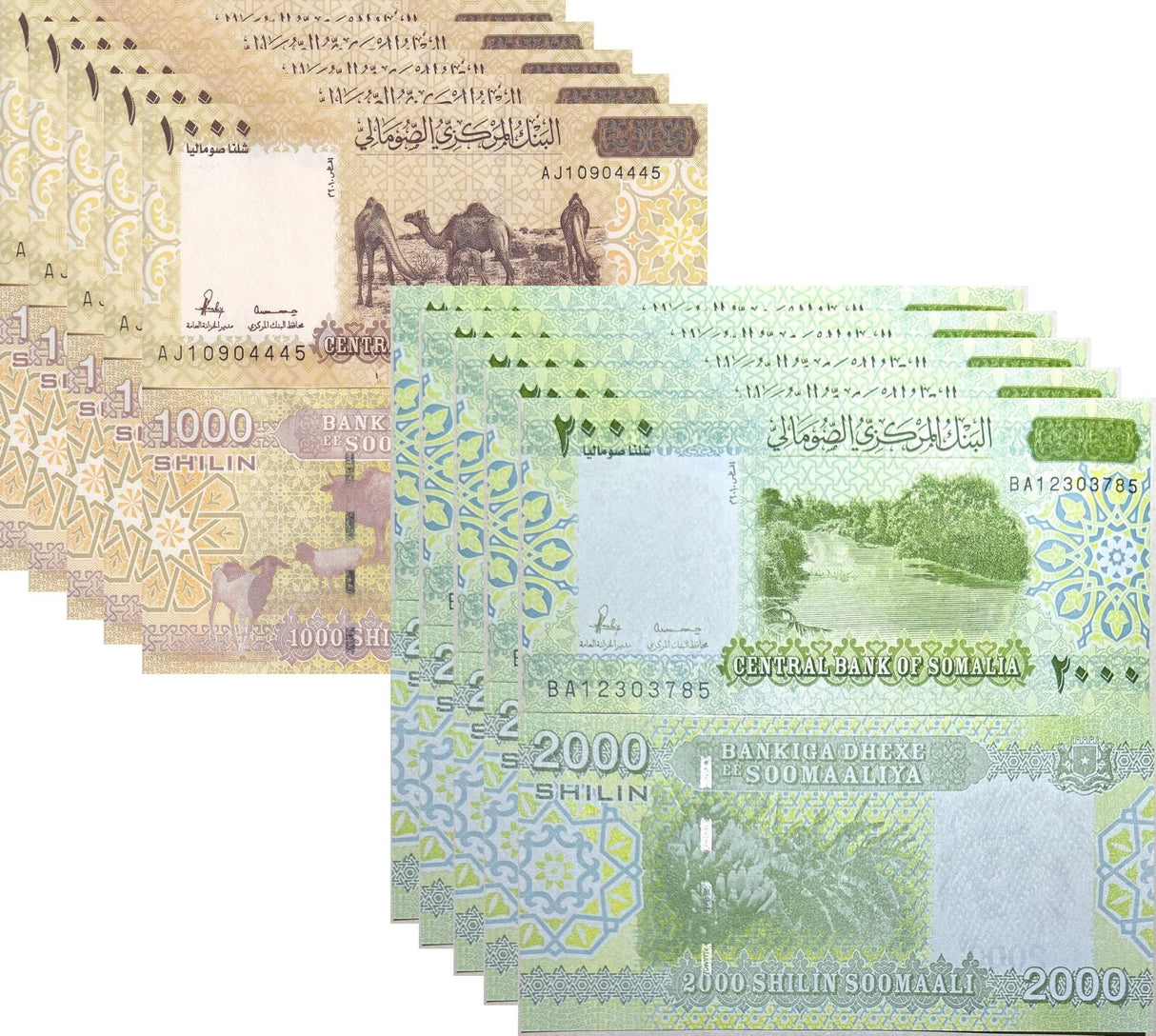 Somalia Set 2 X LOT 5=10 UNC 1000 2000 Shillings 2010 ND 2024 P 38 39 UNC