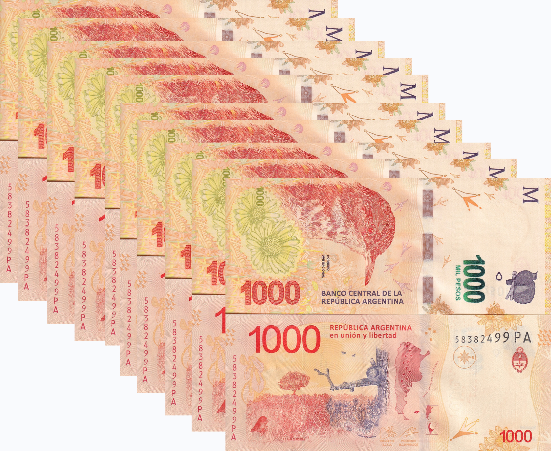 Argentina 1000 Pesos ND 2017 Suffix Random P 366 UNC LOT 10 Pcs 1/10 BUNDLE