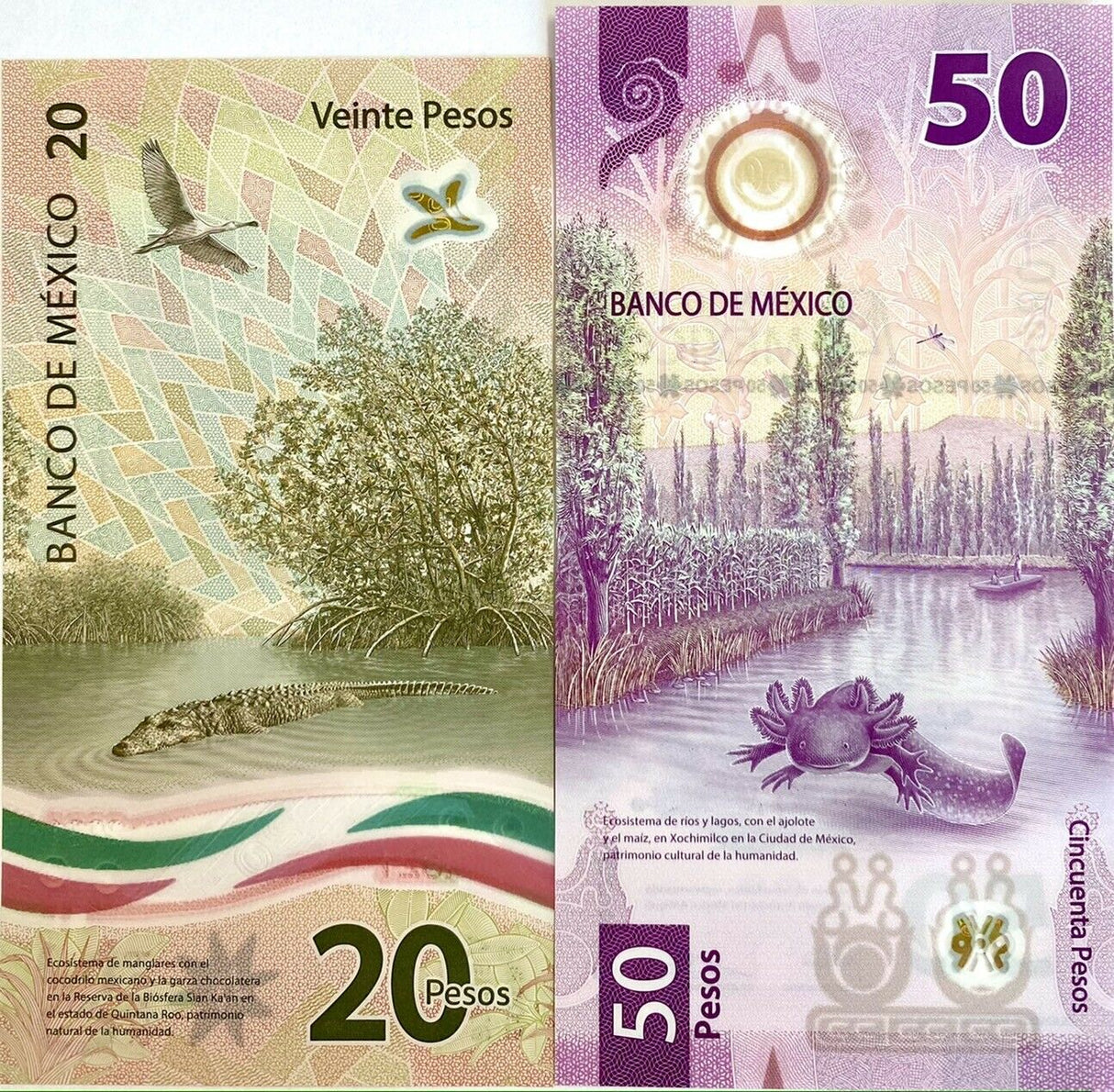 Mexico set 2 Pcs 20 50 Pesos 2021-2023 Polymer P 132 133 Mixed Date/Sign UNC