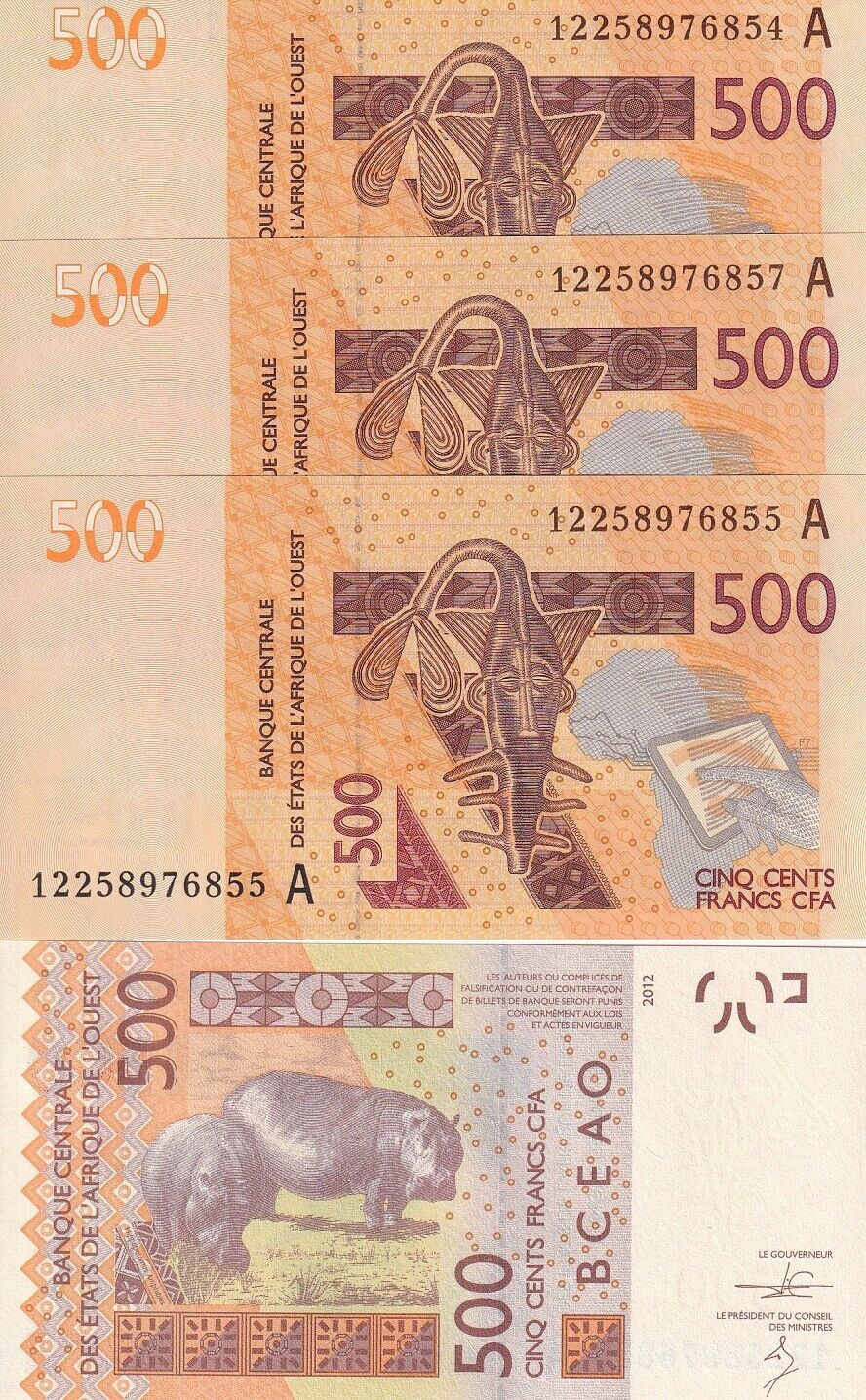 West African States Ivory Coast 500 Francs 2012 P 119 HIPPO UNC LOT 3 PCS