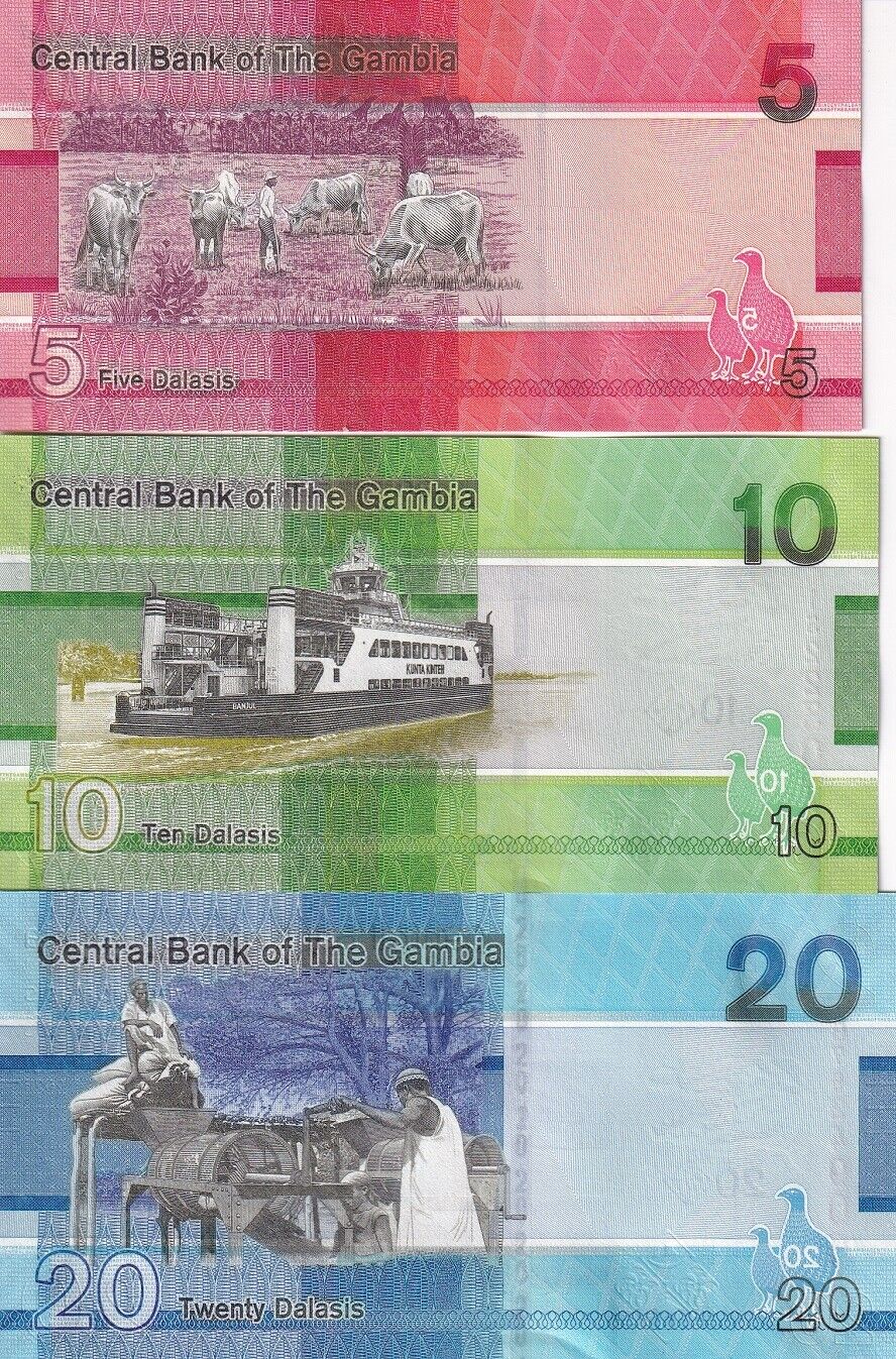 Gambia Set 3 Pcs 5 10 20 Dalasis 2023 / 2024 P 37 38 39 UNC