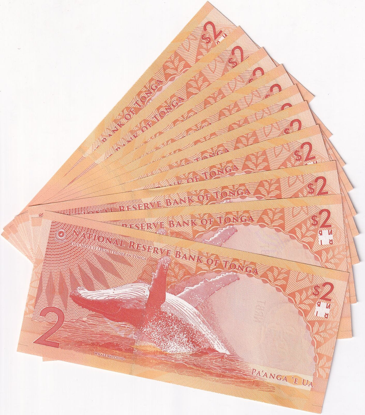 Tonga 2 Pananga 2023 2024 P 50 NEW Design Whale LOT 10 UNC